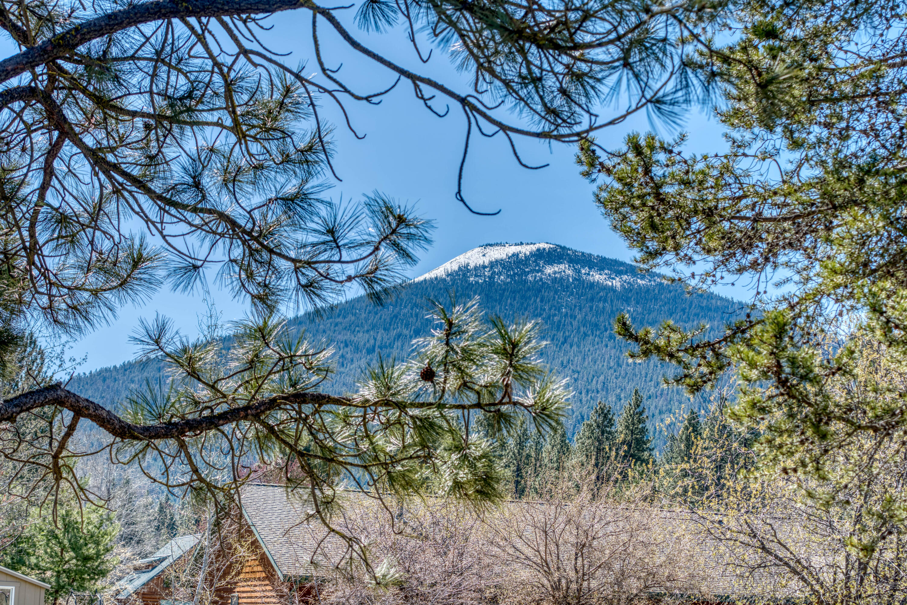 Metolius Meadows - Residential