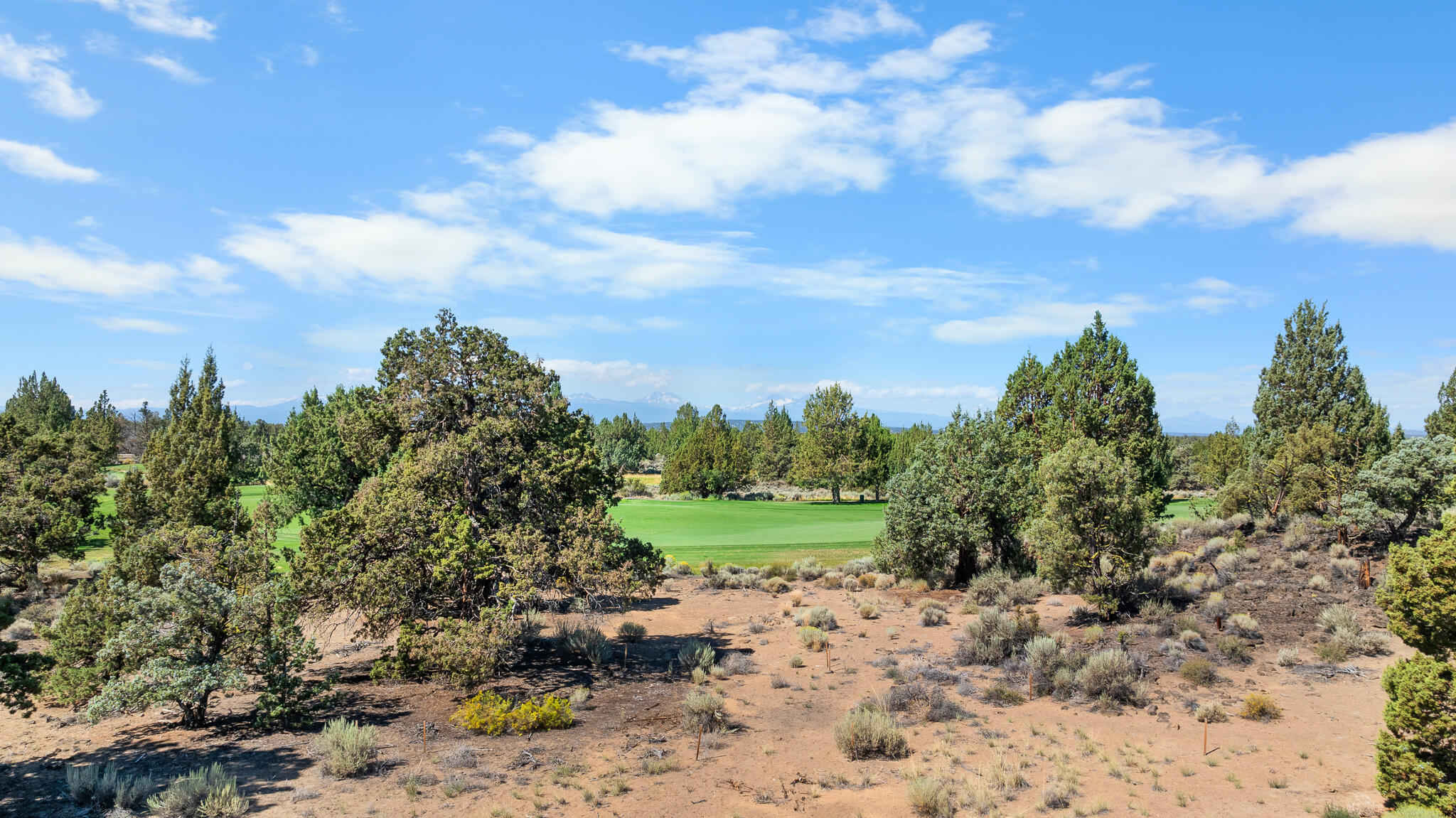 Pronghorn - Land