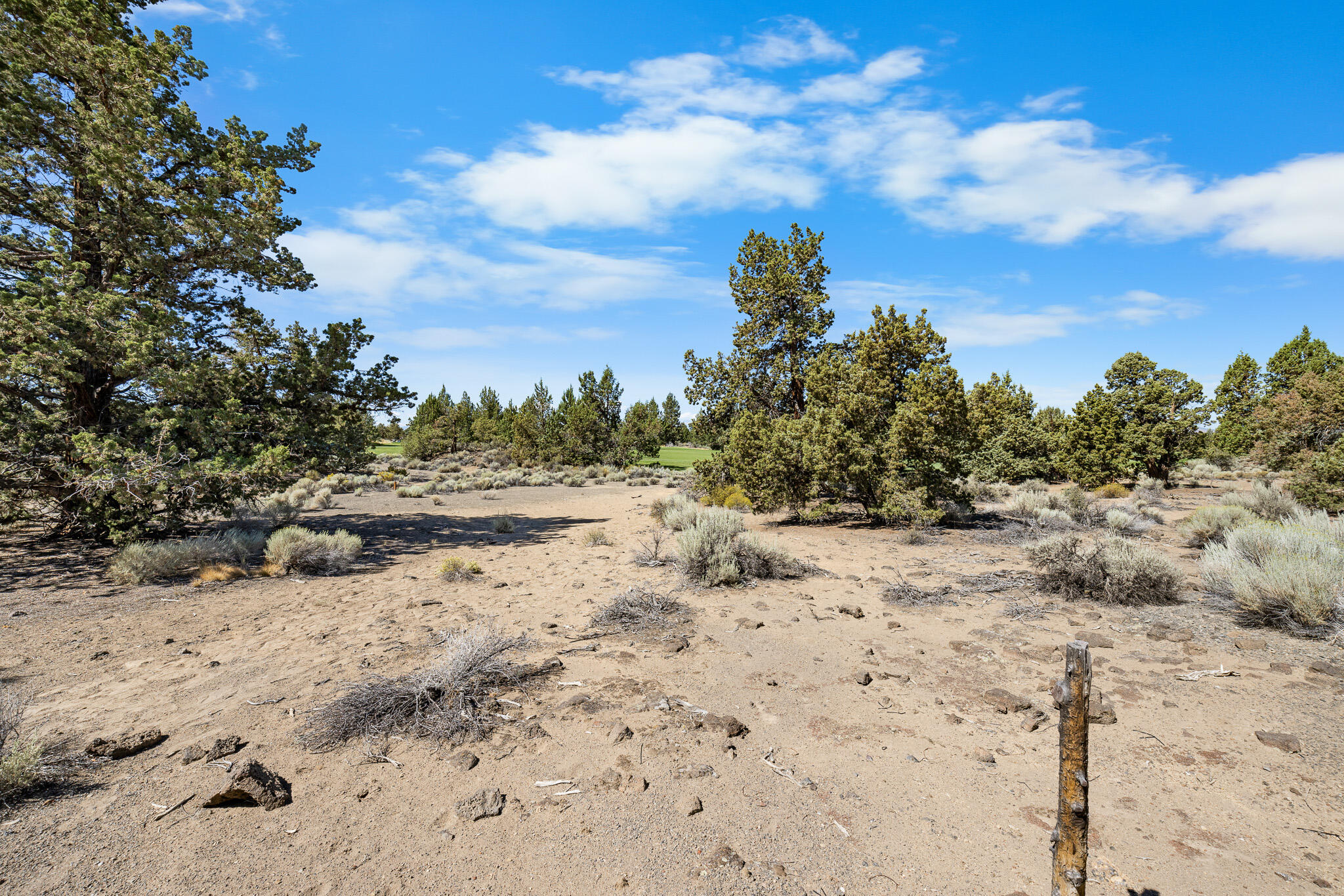 Pronghorn - Land