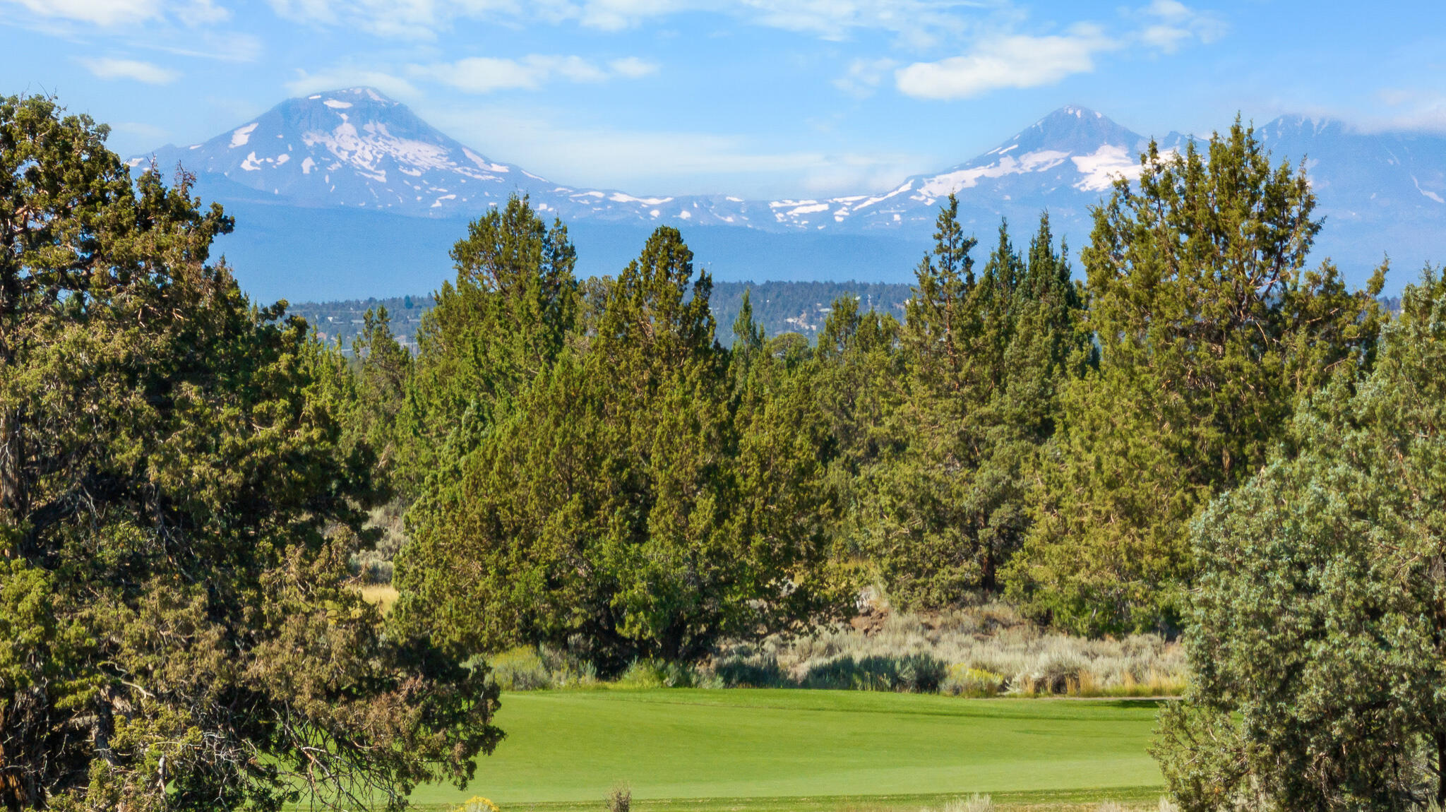 Pronghorn - Land