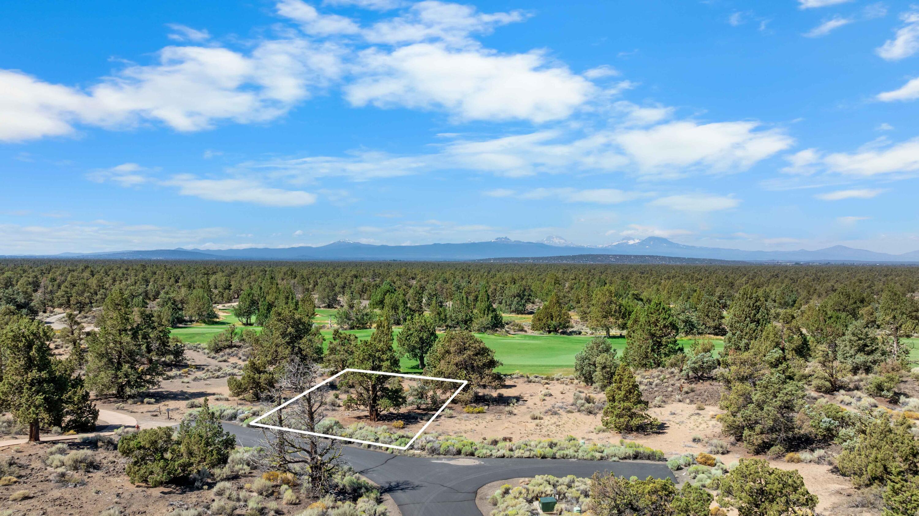 Pronghorn - Land