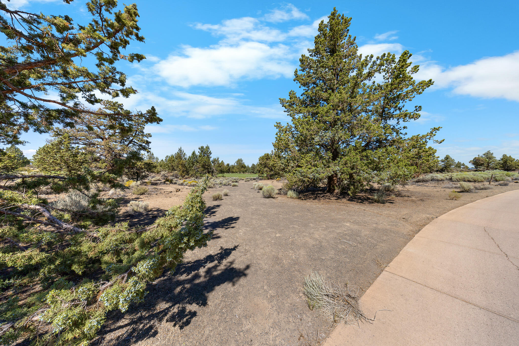 Pronghorn - Land