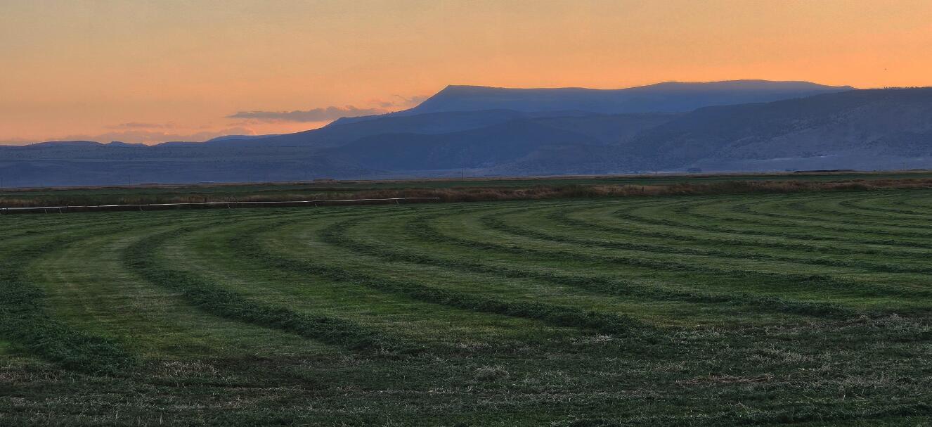 N/A - Farm
