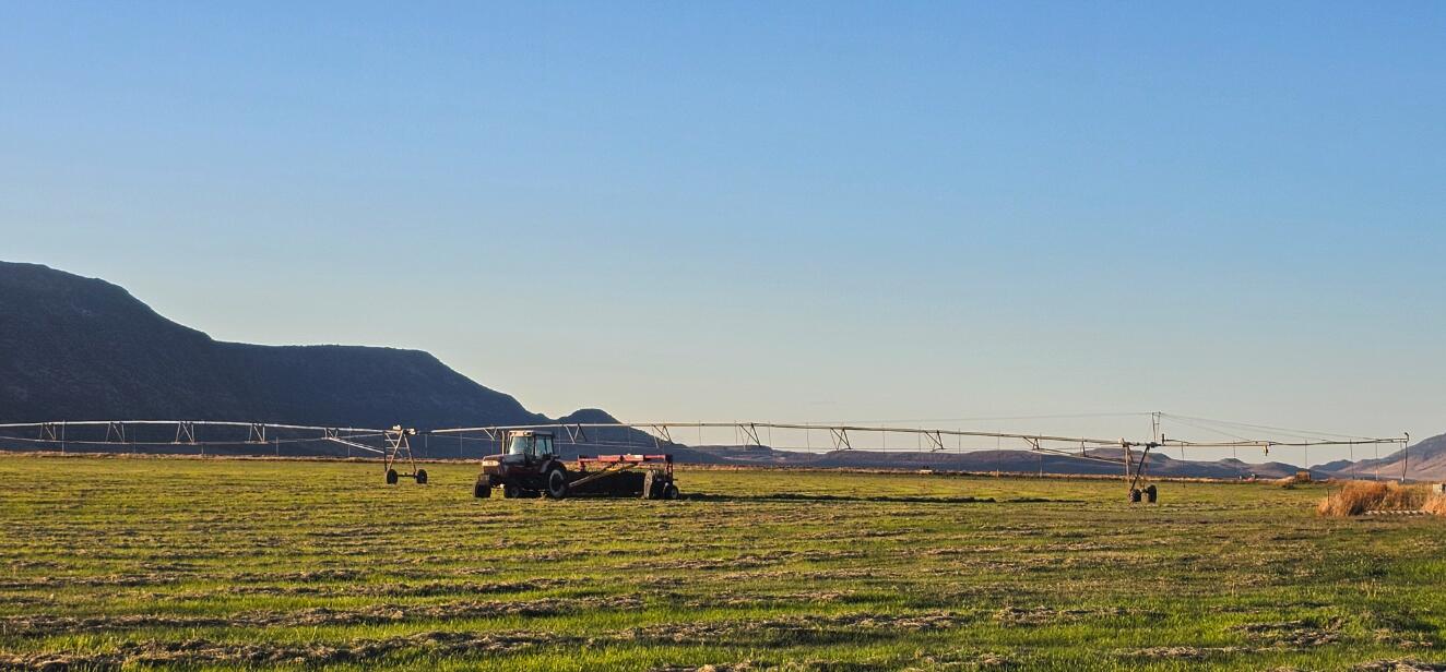 N/A - Farm