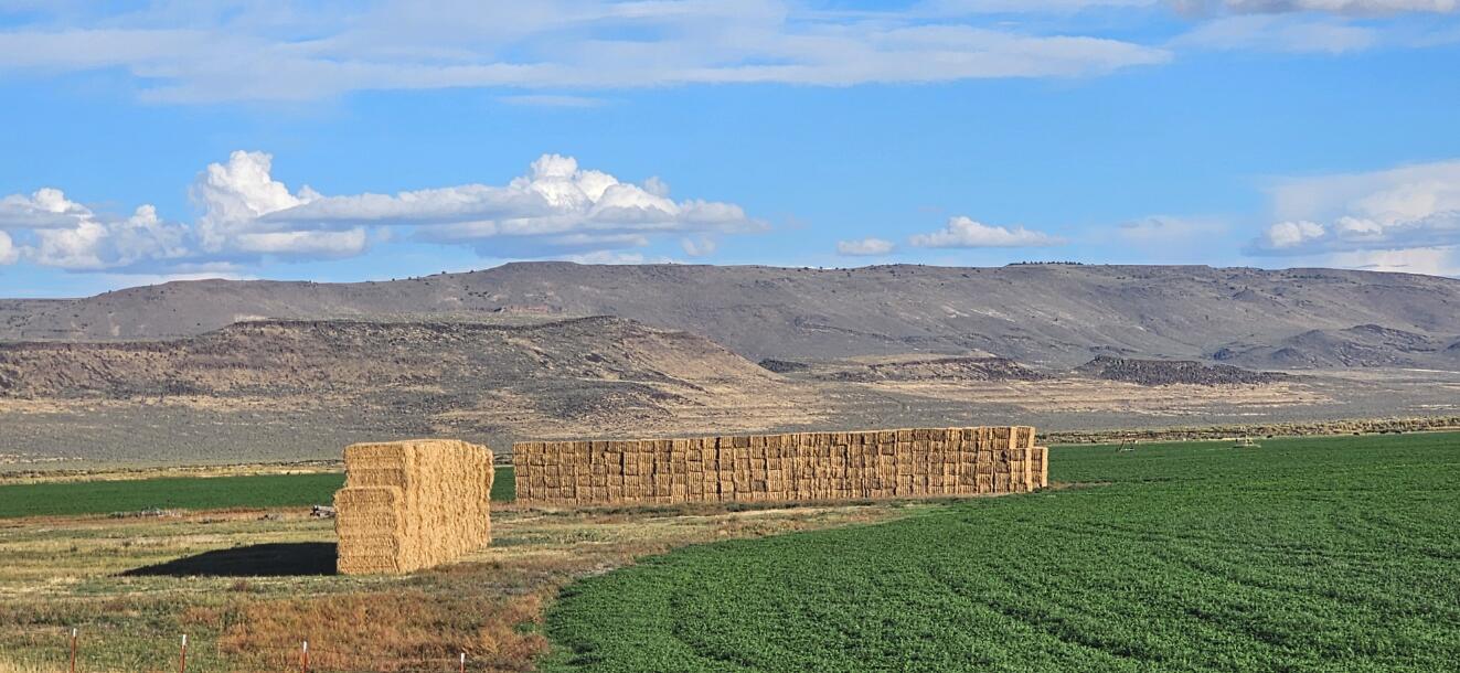 N/A - Farm