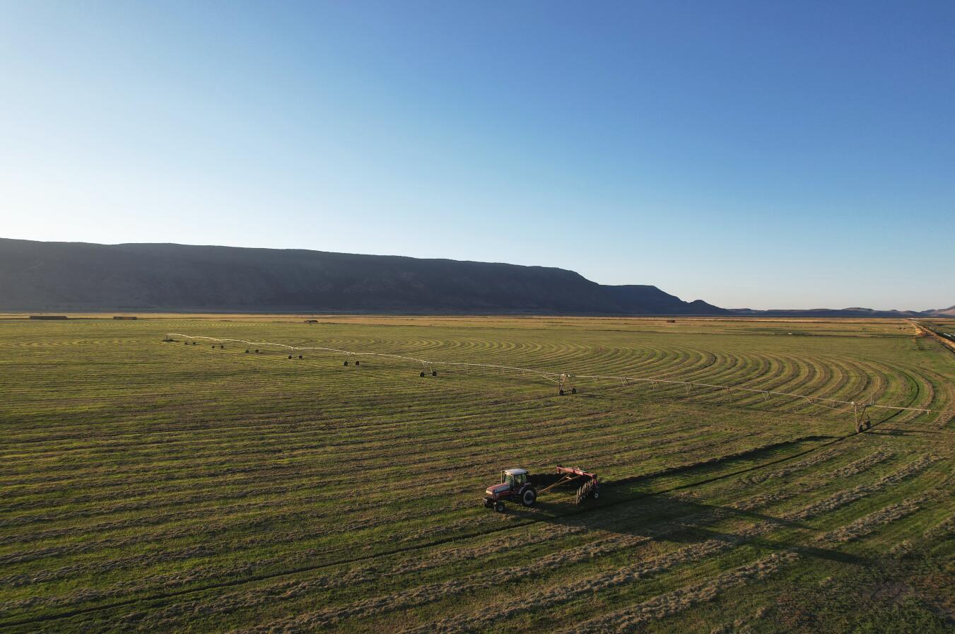 N/A - Farm