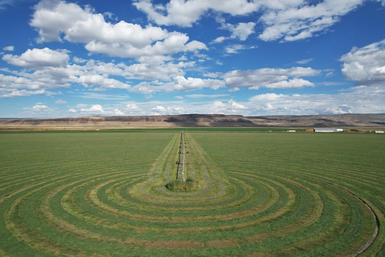 N/A - Farm