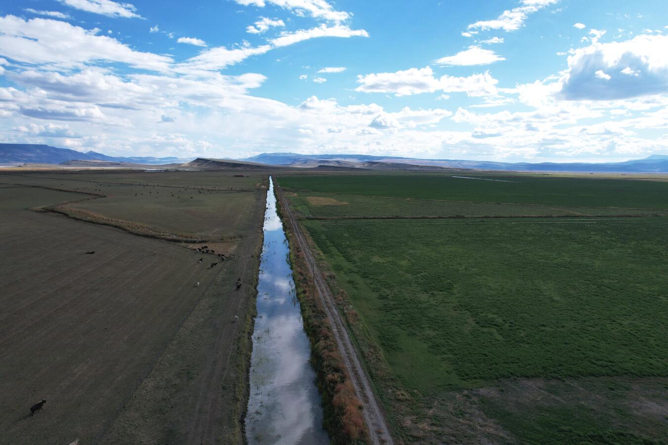N/A - Farm