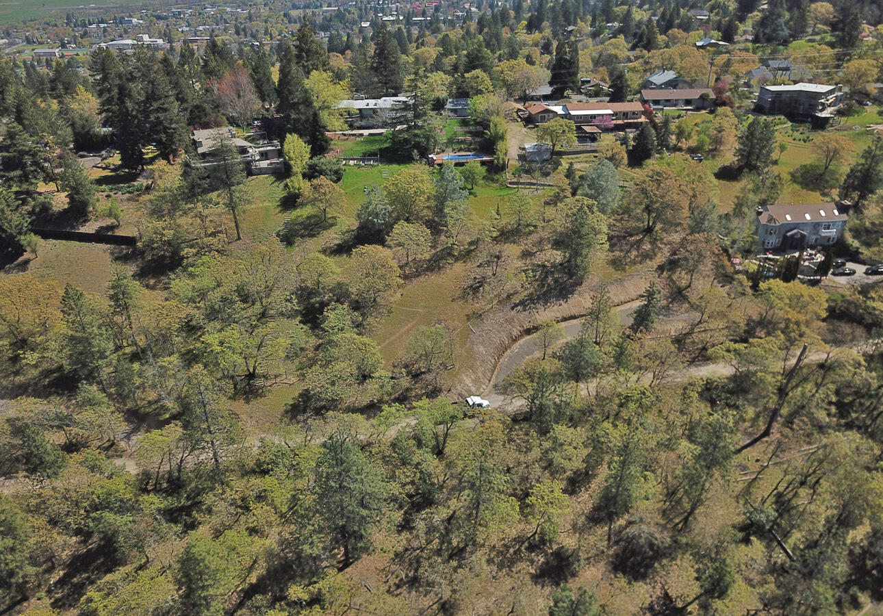 Situated on Glenview Dr. directly overlooking Lithia Park, renowned for it's lush greenery, walking trails and tranquil ambiance.  This lot offers a rare chance to build a home in one of the most desired locations in Ashland.  Close to downtown, yet with the privacy and scenery of a rural property.  A comprehensive set of plans has been drawn up by Carlos Delgado (Architect) and are available upon request.