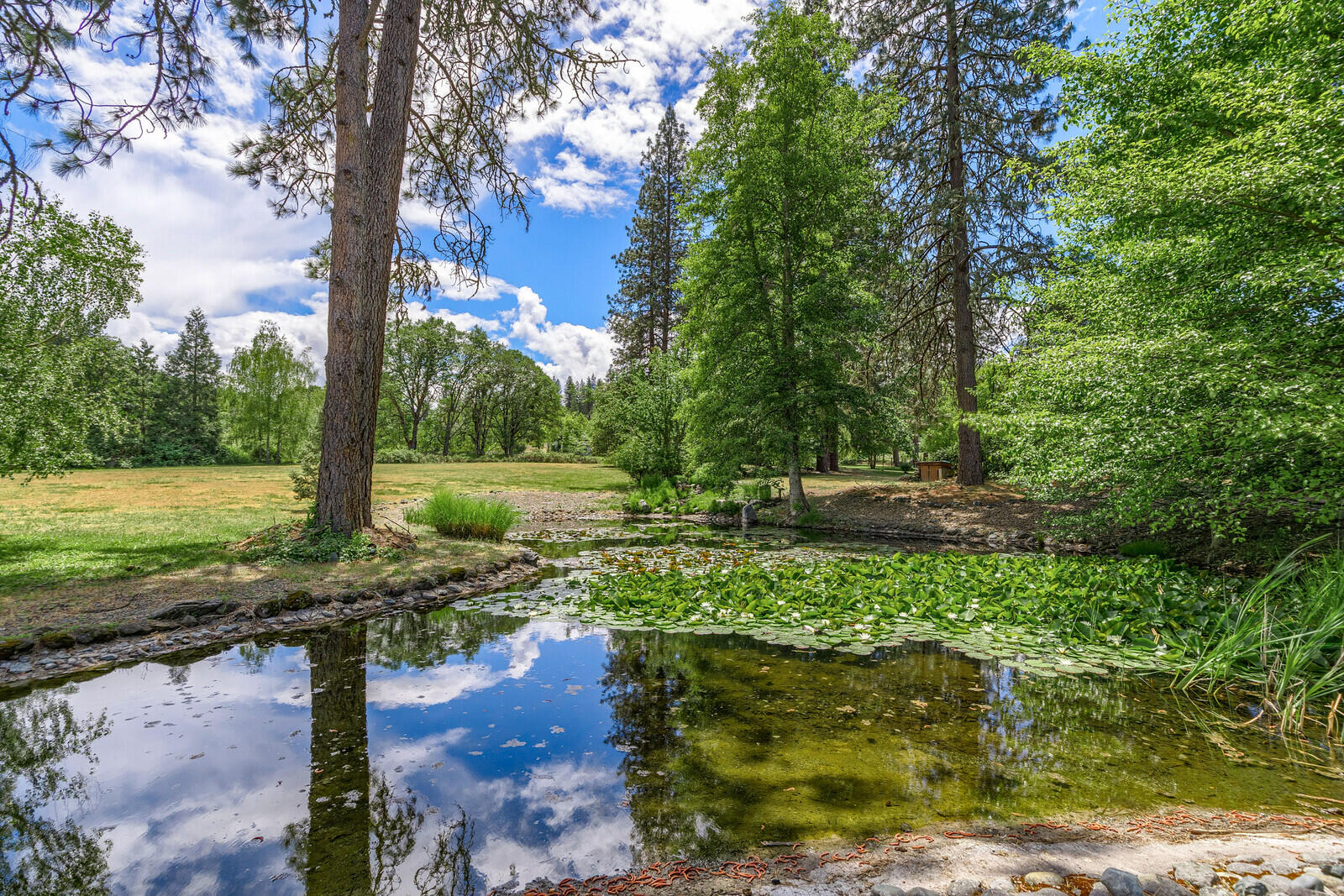 Wildrose - Residential