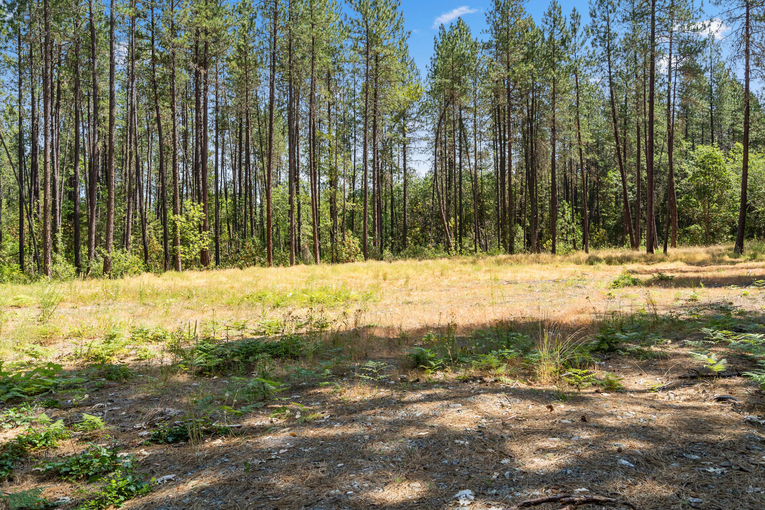 Looking for a serene and private place to build your new custom home?  This is the one you've been looking for!  This 3.95 acre wooded parcel has all the best features such as gorgeous soaring pines, fantastic location close to hospital and amenities, district 7 schools, high producing well already installed, all in a lovely neighborhood of newer homes on 3+ acre parcels.  Acreage is level with standard septic approval. Come make this into your dream oasis, there are many possibilities here!