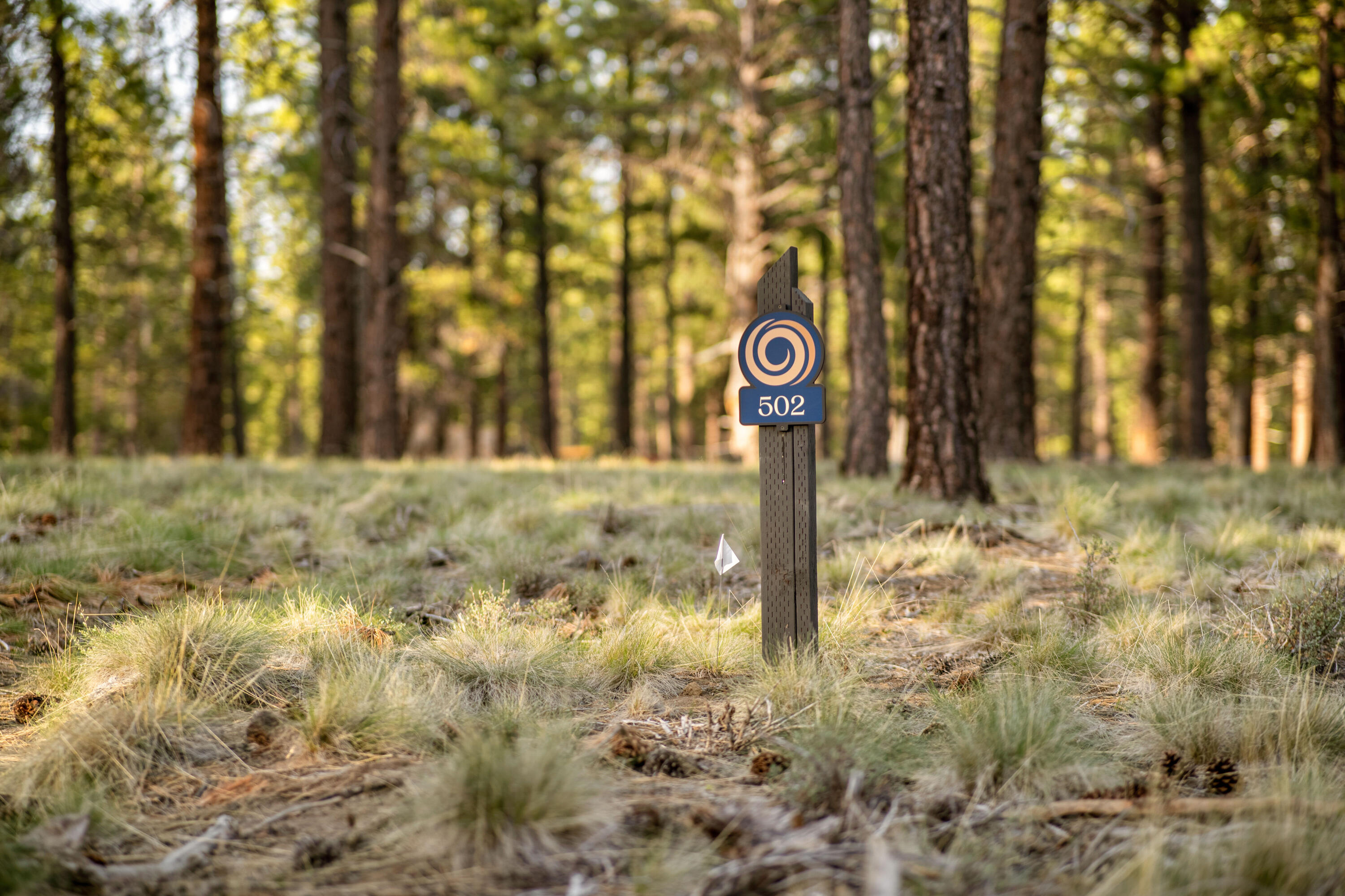 Introducing Wild Pine Homesites at Caldera Springs! Explore our newest neighborhood — where serene water views meet forested landscapes. Nestled in our scenic northern section, Wild Pine Homesites offer an unmatched opportunity to experience the coveted Caldera Springs lifestyle. Limited-time incentives include 5% off list price and Developer paid HOA dues through December 31, 2026. Featured Lot 502 is a spacious .50 acre homesite, large enough to accomodate a 6 bedroom home, and backs to a picturesque pond and water features. Framed by towering pines and basking in year-round sun, this lot provides the perfect setting to design and build your custom dream home. Owners enjoy special access to the Forest House Amenity & Aquatic Center along with golf, fitness, pickle ball, tennis, pools, kayaks & paddle boards. Caldera Springs is located near Sunriver, just 15 minutes to Bend and 30 minutes to world class skiing at Mt. Bachelor. Taxes TBD.