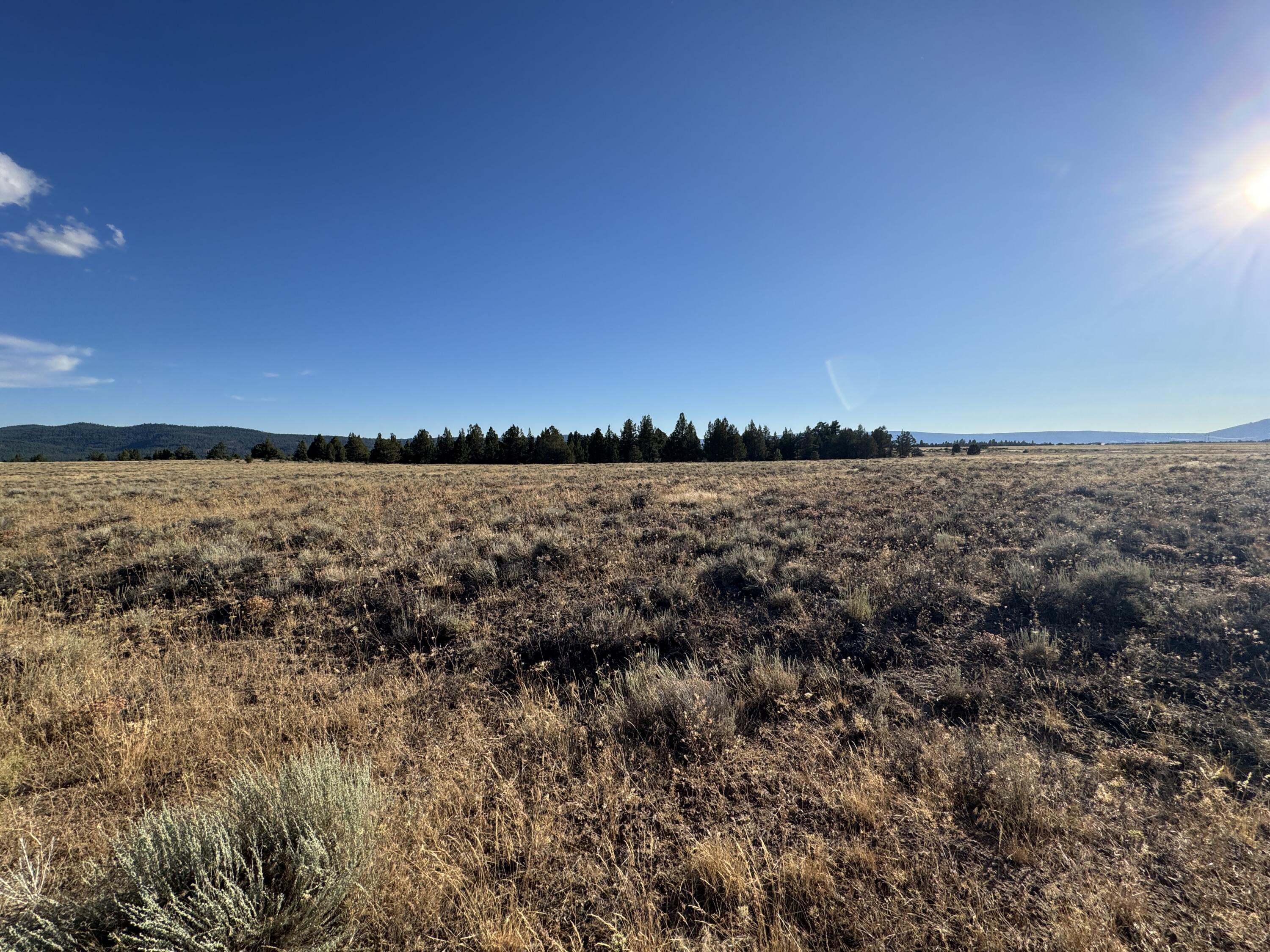 1.68 Acres | Private & Peaceful Lot with Big Sky Views-Ideal for Off-Grid Living! Discover the perfect blend of privacy, nature & opportunity with this beautiful 1.68-acre residential-zoned lot nestled in a tree-lined setting. Tucked away from the hustle + bustle, this level parcel offers the ideal canvas for your off-grid homestead or weekend getaway. Enjoy panoramic views of the sweeping plain that stretches for miles, providing a sense of space & freedom that's hard to find. With no immediate neighbors & abundant natural beauty, you'll wake up to the songs of native birds & share your space with local wildlife in a truly tranquil environment. Outdoor lovers will be in paradise—this area is a gateway to endless recreation including hiking, biking, birdwatching, hunting, + more. You're just minutes from the Sprague River, perfect for fishing, swimming & kayaking, and only about 45 minutes from Klamath Falls, offering convenient access to amenities. No HOA, no hassle.
