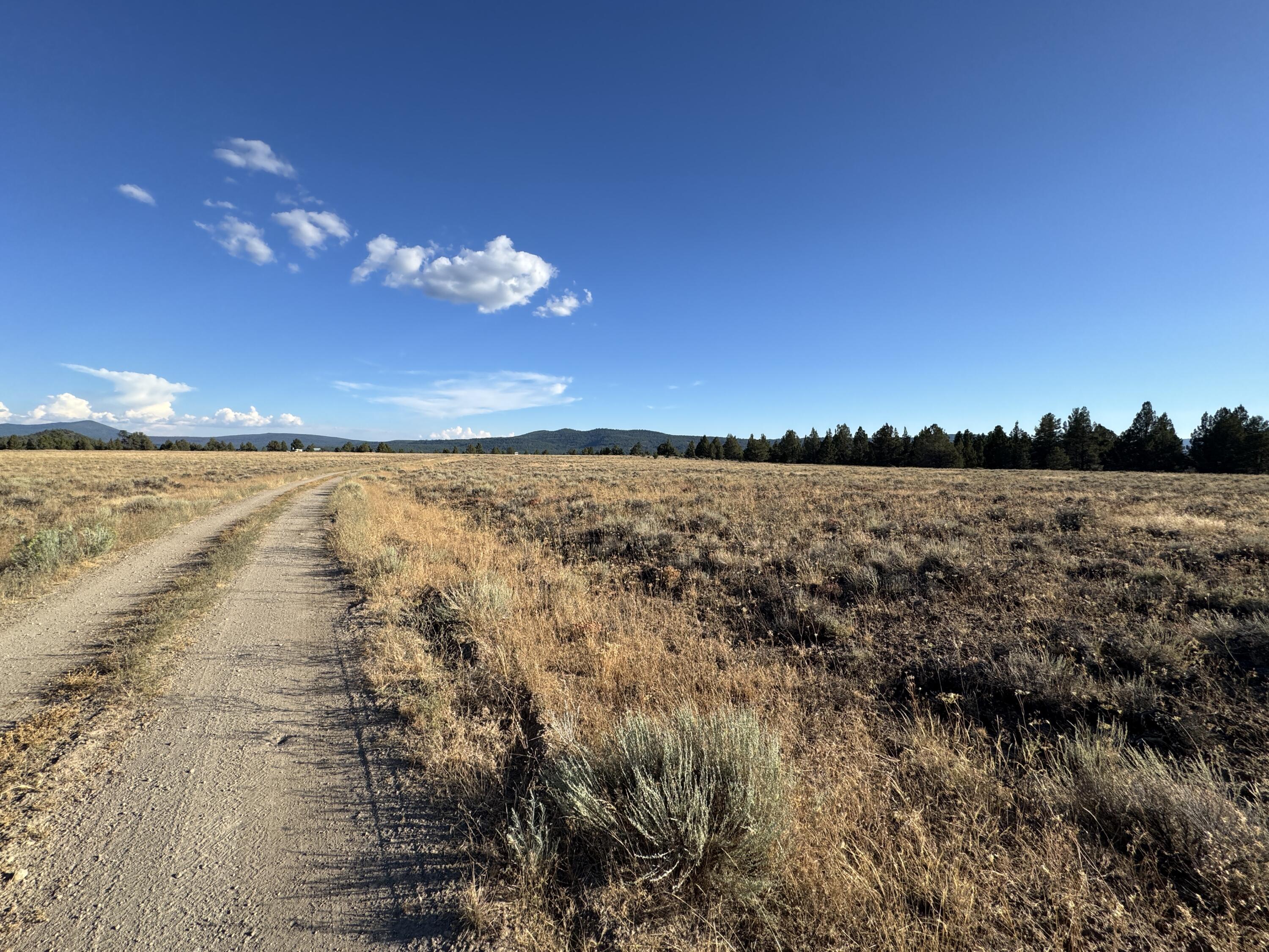 Nimrod River Park - Land