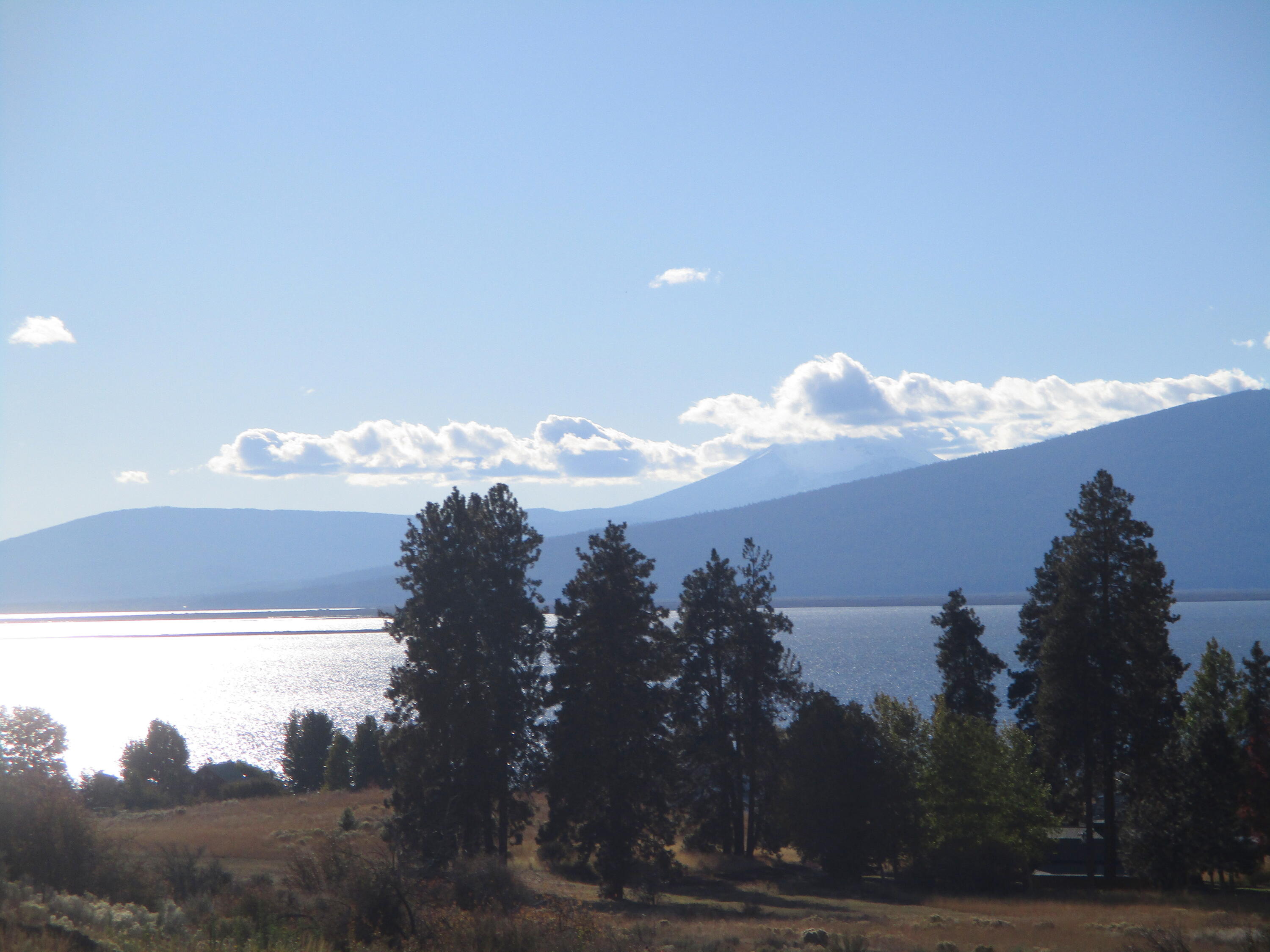 Oregon Shores - Land