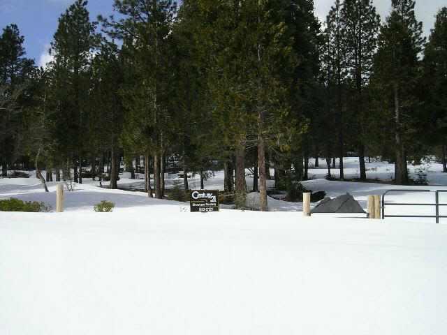 Identifiable Property With Front Fencing And Gate, Power To Property Line, Driveway Cut In, Wooded And Gentle Sloping For Good Homesite Or Cabin.Trees Have Been Trimmed For Fire Protection. Owner May Carry.