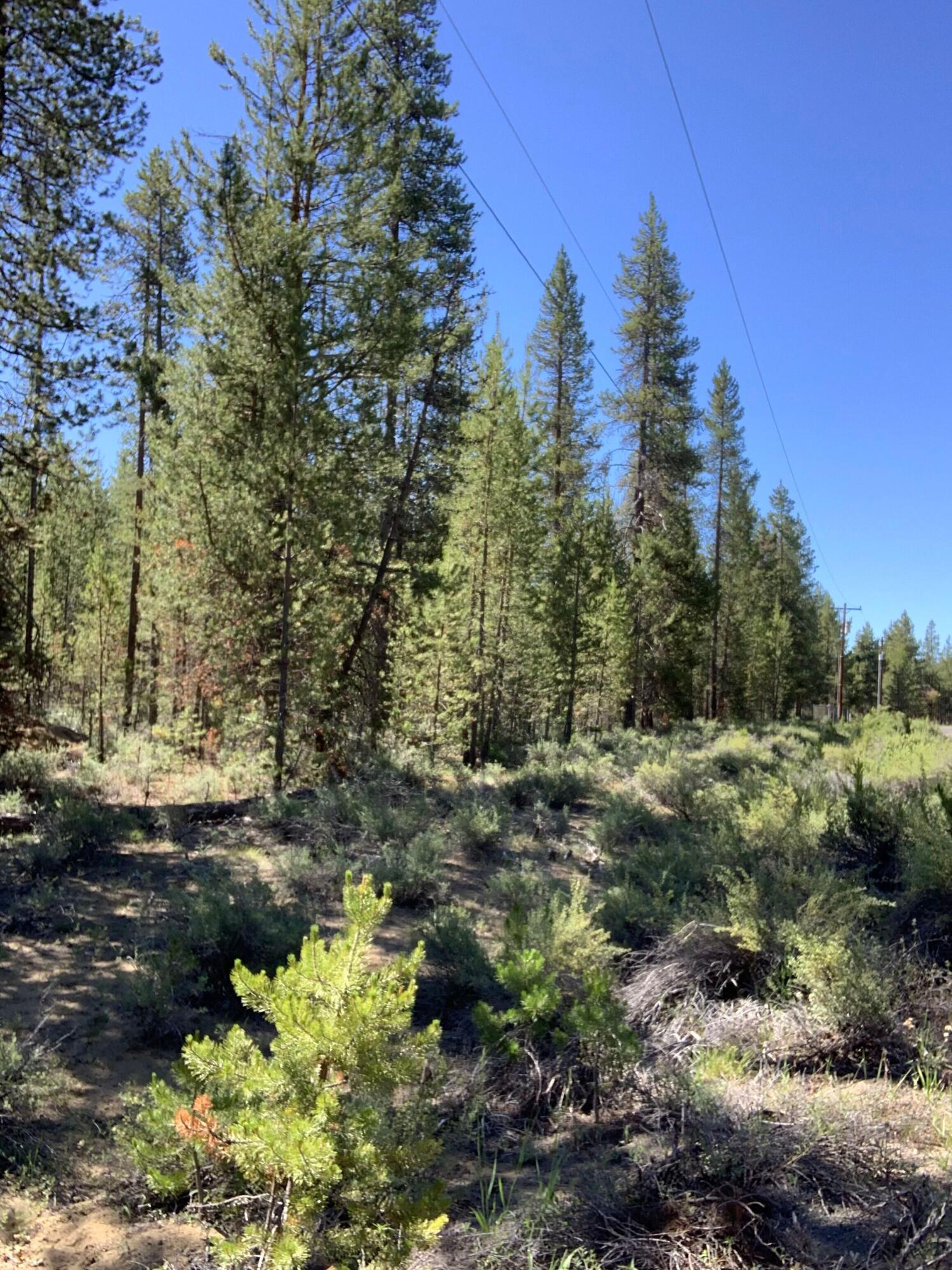 Meadow Crest Acres - Land