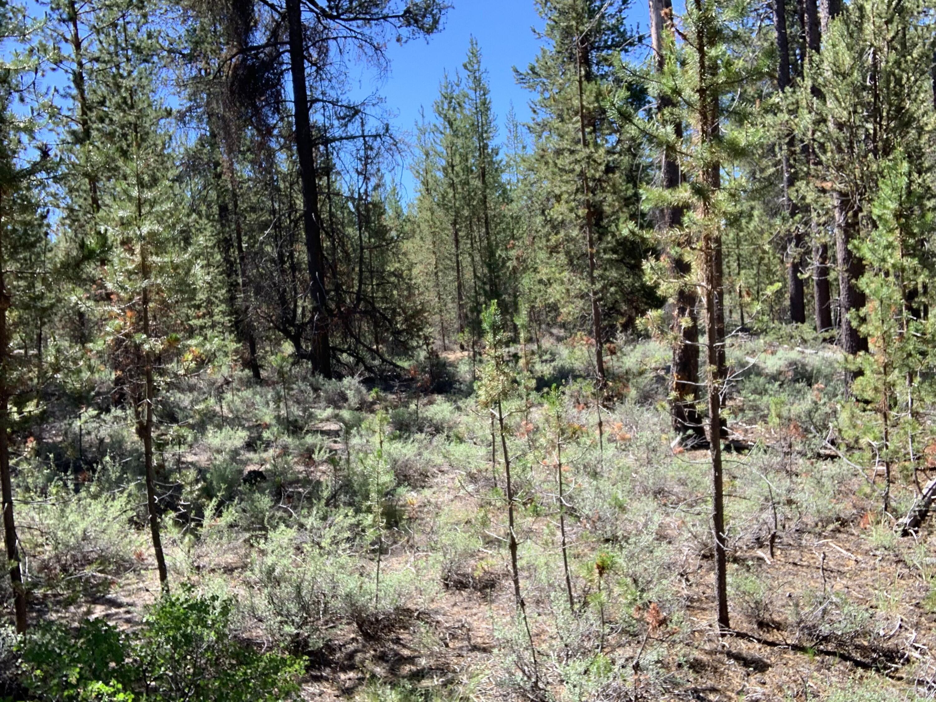 Meadow Crest Acres - Land
