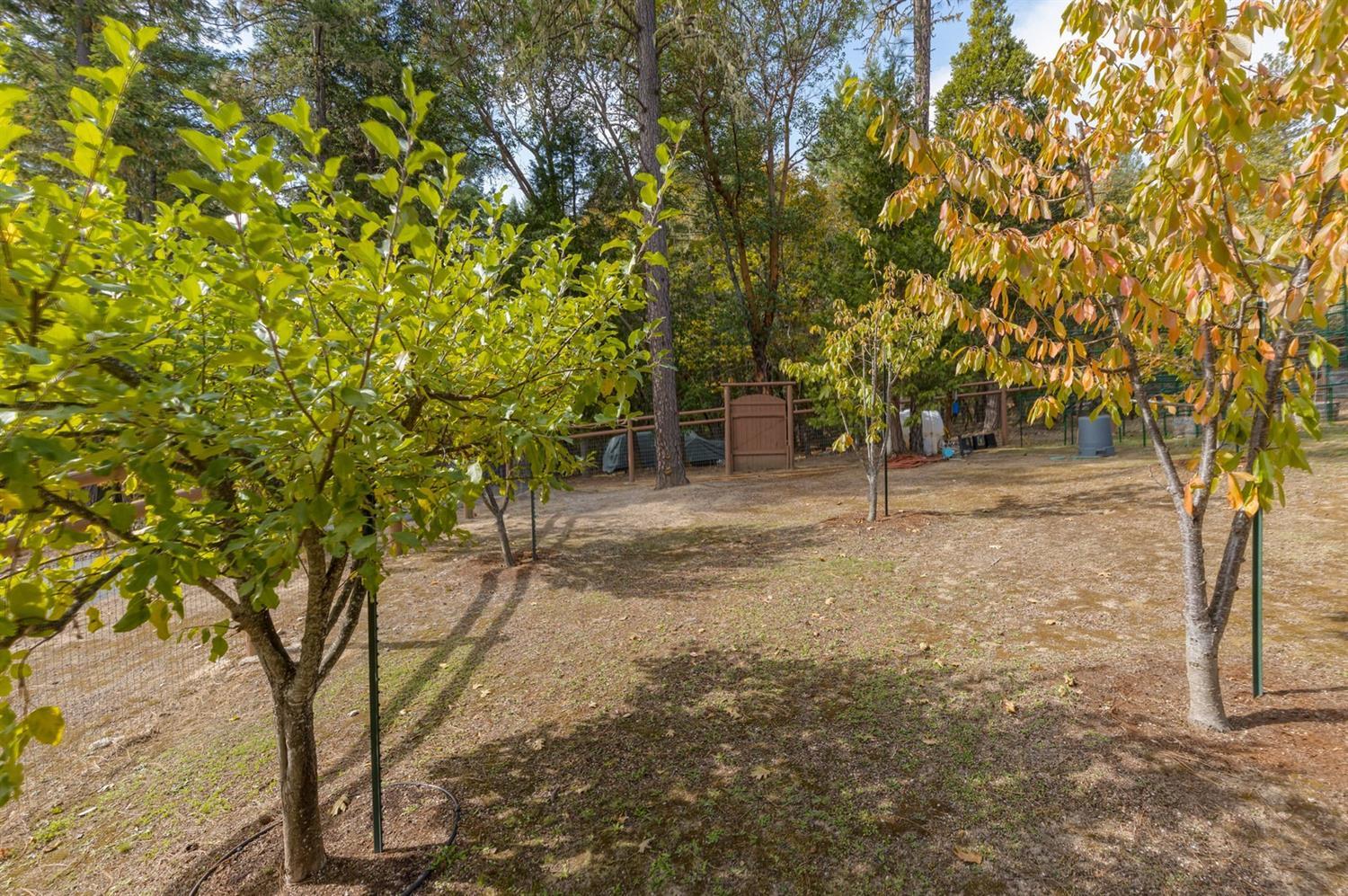 Gray Wolf Subdivision - Residential