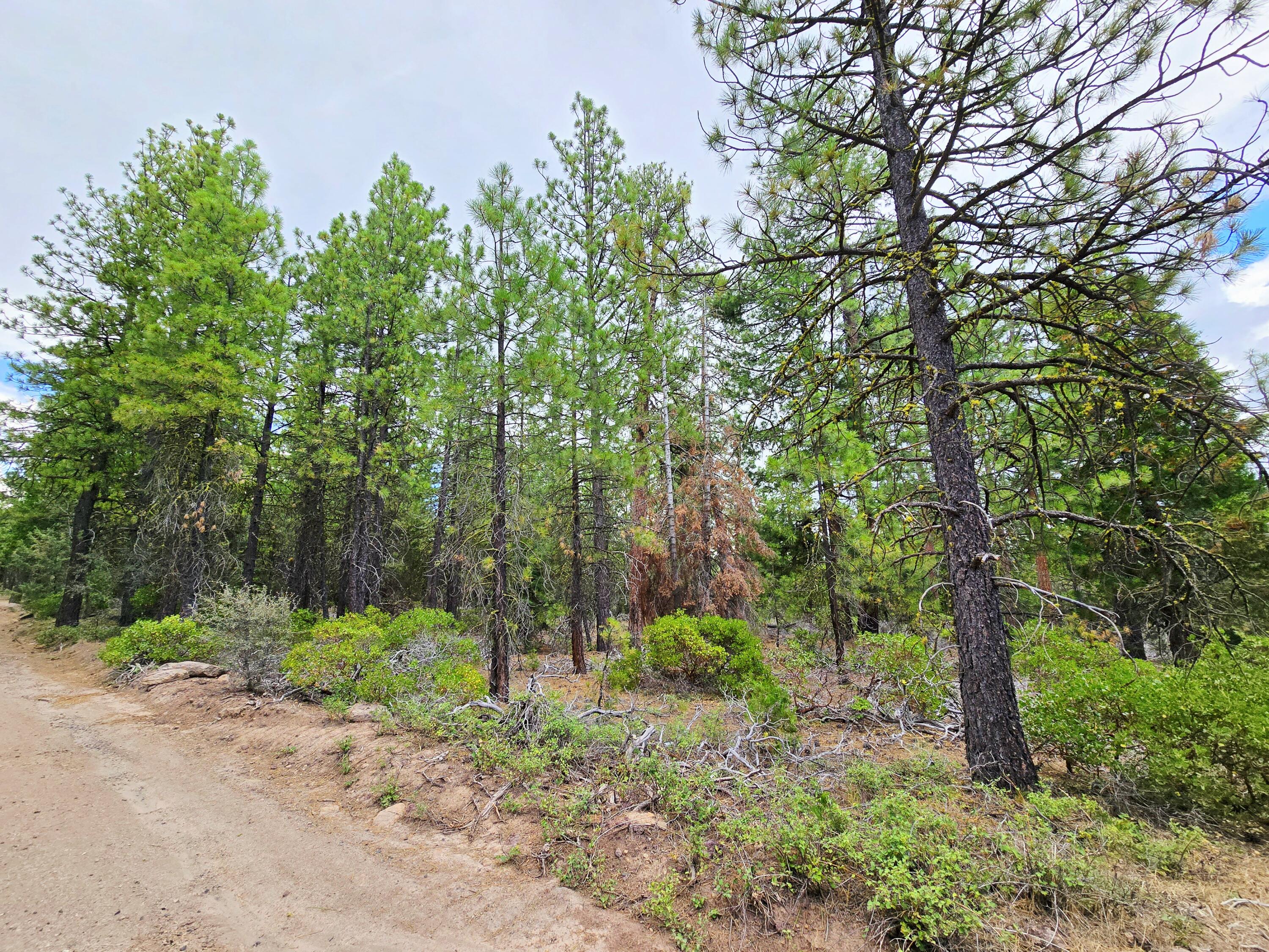 Klamath Falls Forest Estates -Hwy 66 Unit -Plat No. 1 - Land
