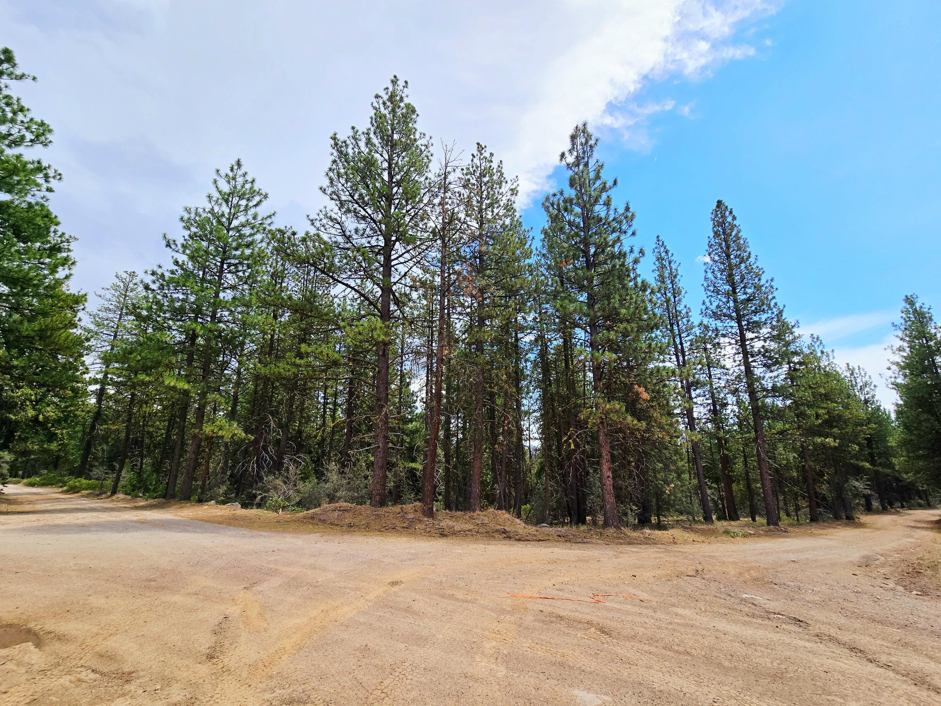 Klamath Falls Forest Estates -Hwy 66 Unit -Plat No. 1 - Land