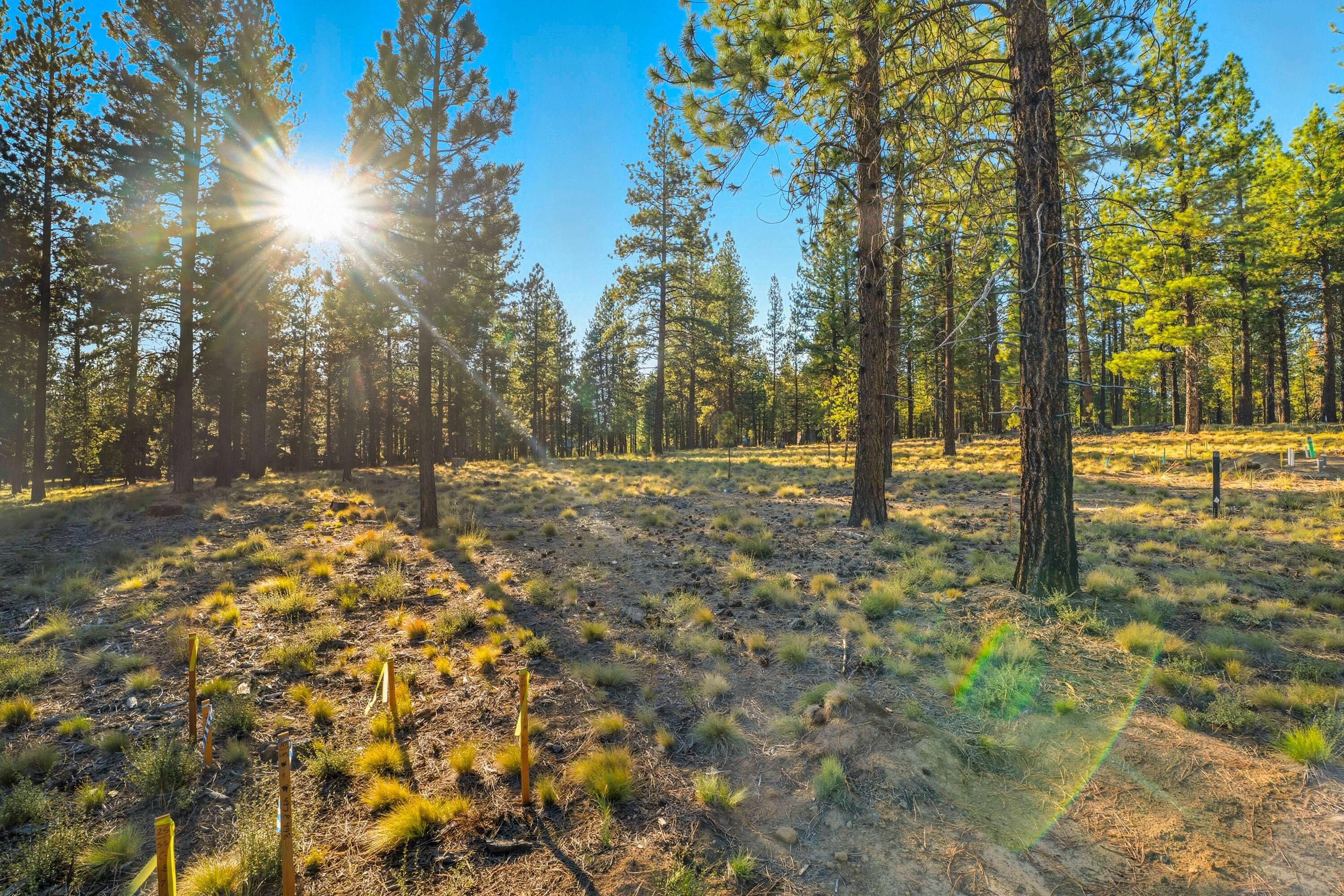 Caldera Springs - Land