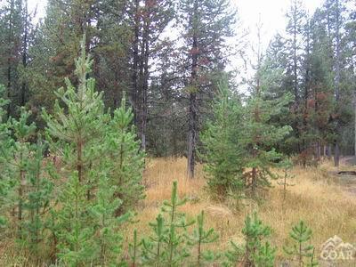 Great level building site located in Oregon Water Wonderland 1. Septic approved. Water at street. Less than 10 minutes from Sunriver.