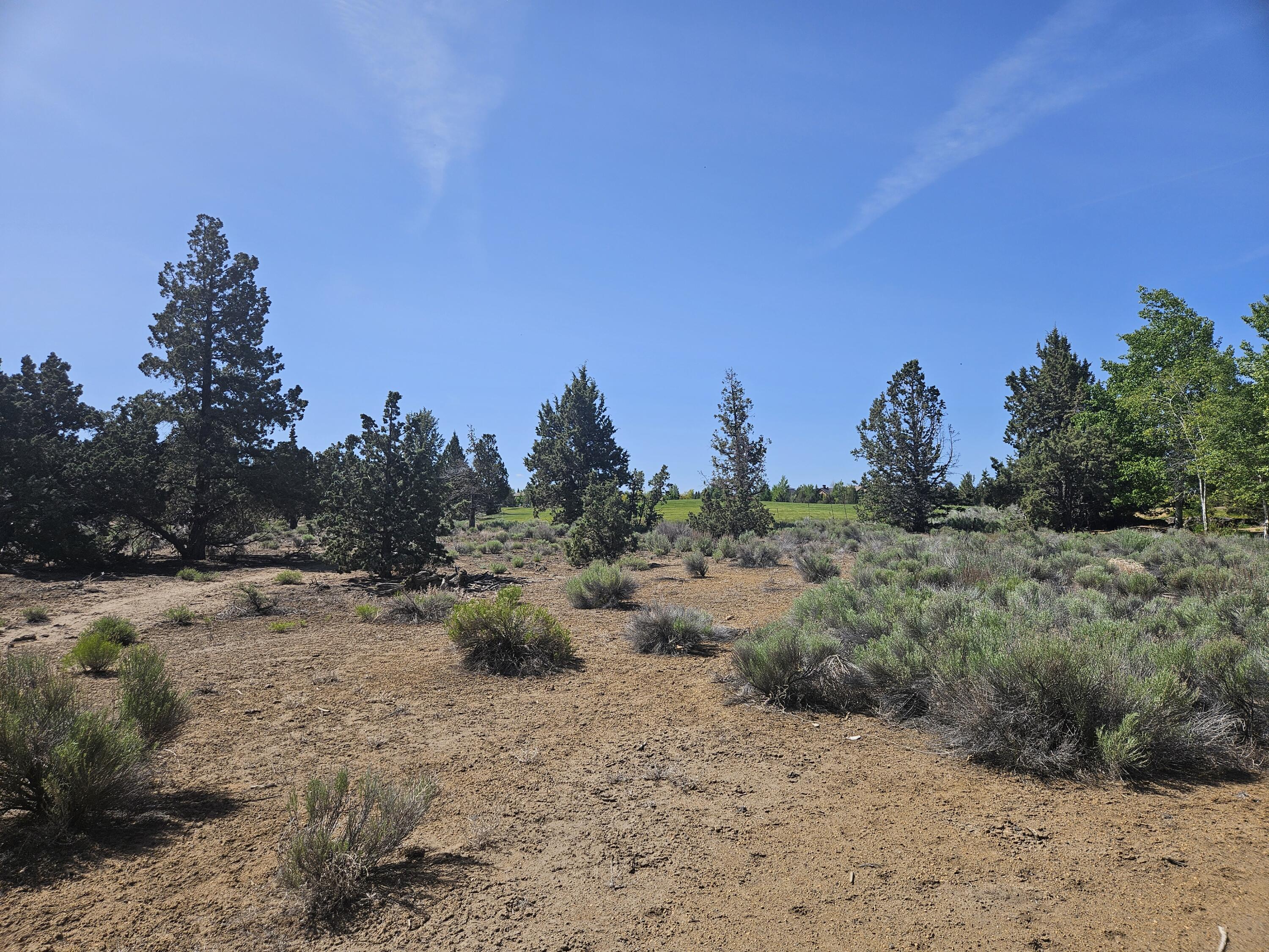 Pronghorn - Land