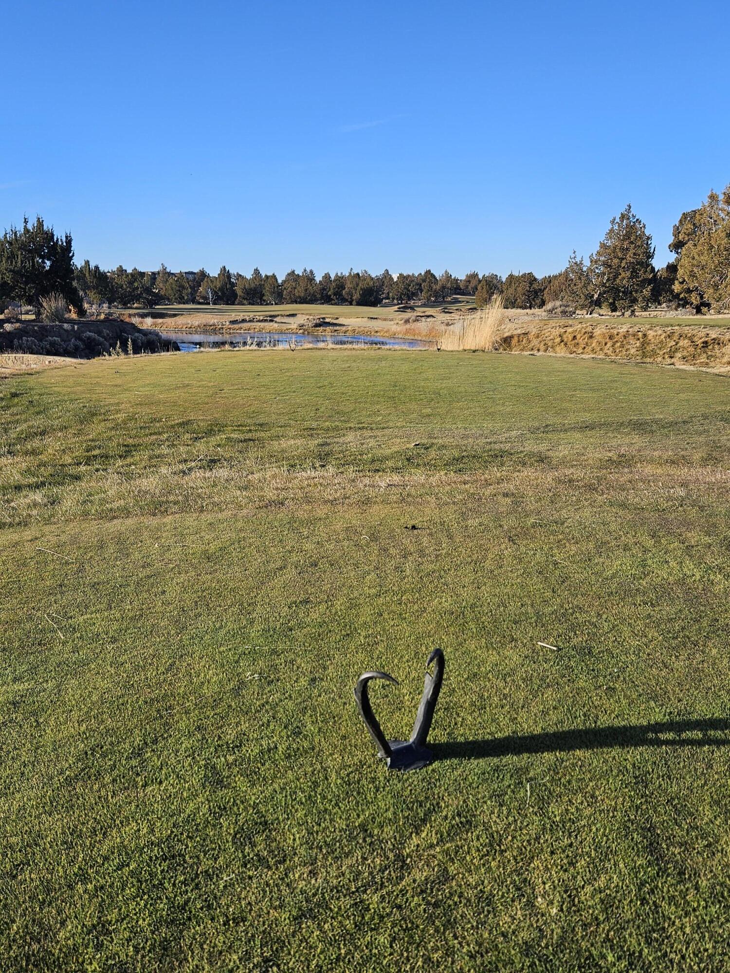 Pronghorn - Land