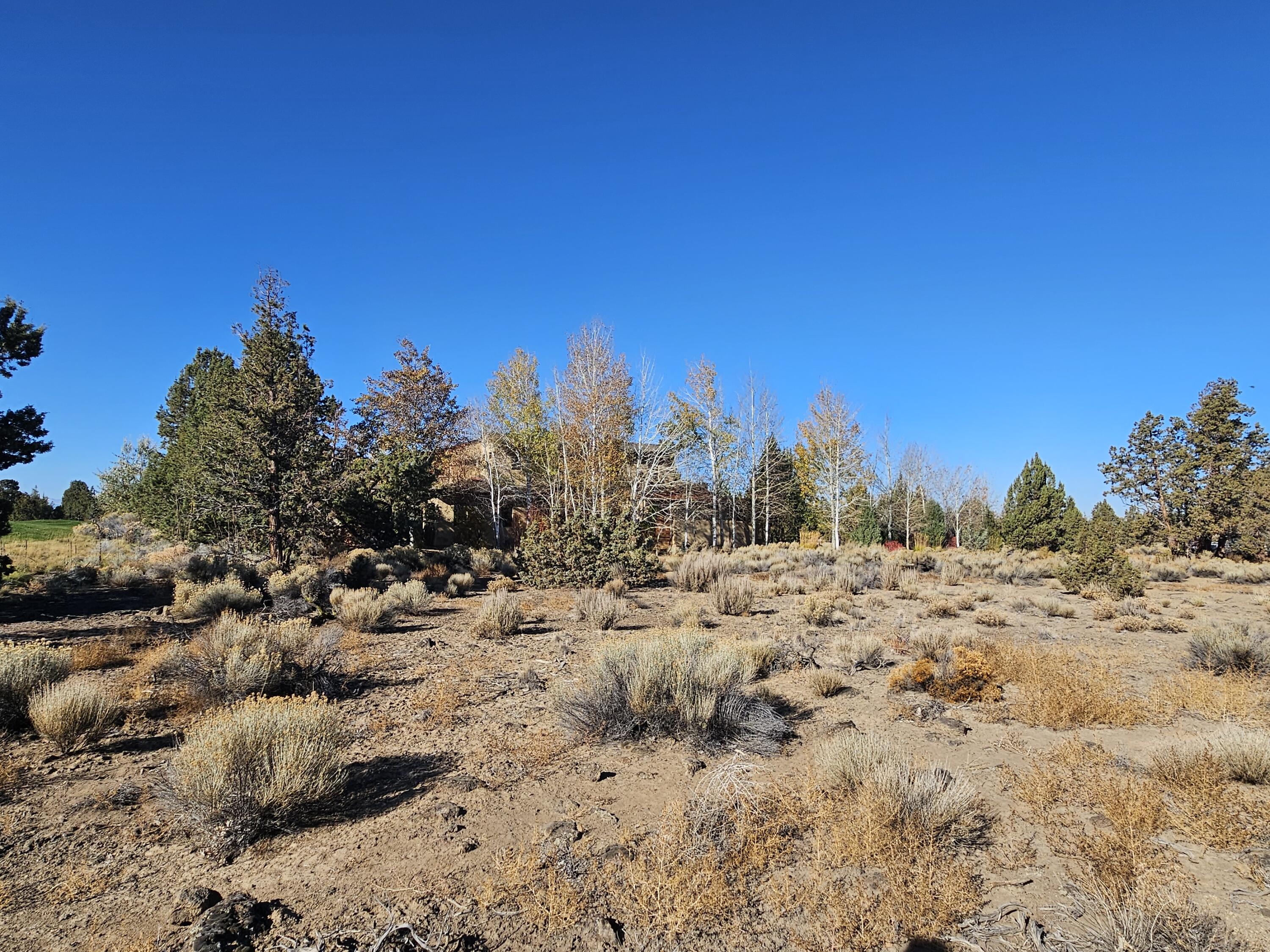 Pronghorn - Land