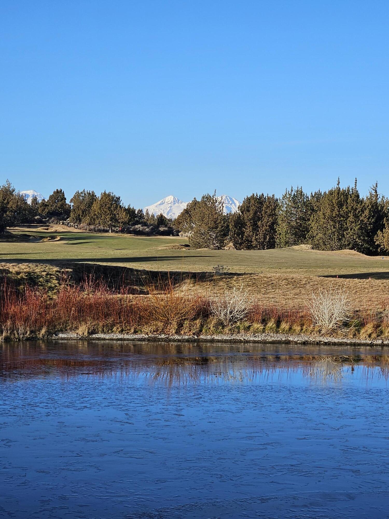 Pronghorn - Land