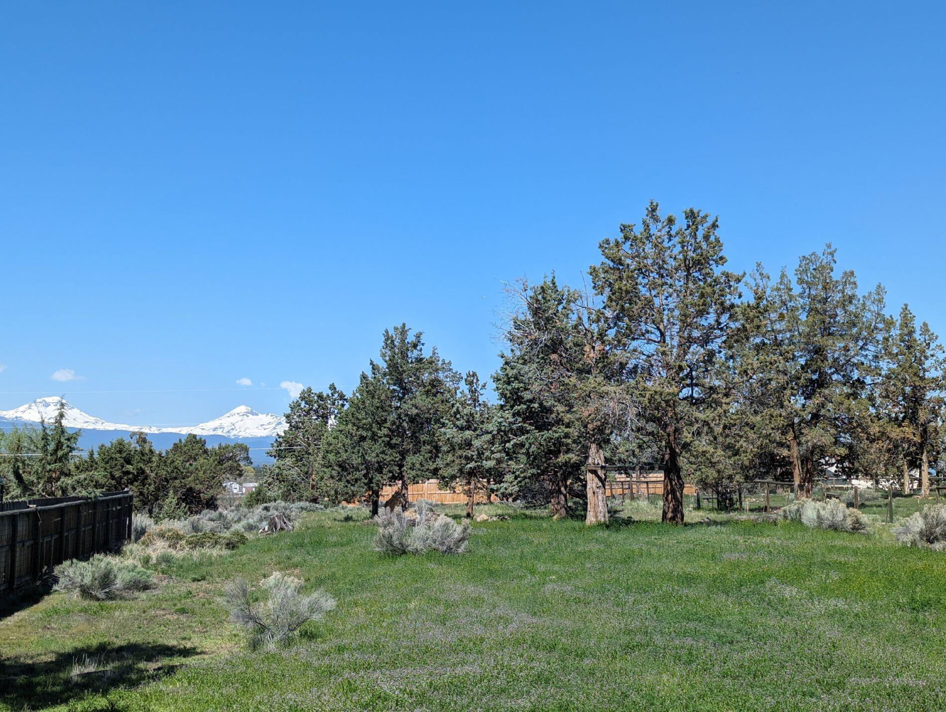 Whispering Pines - Residential
