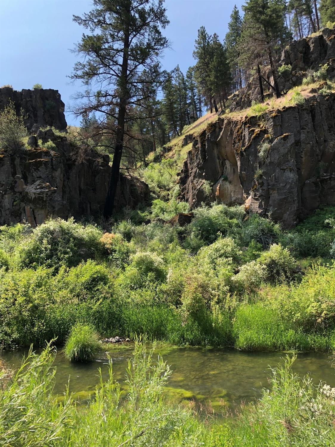 Very unique hunting property located in both the Ochoco and Murderers Creek hunting units. Property qualifies for 2 LOP's for deer and 2 LOP's for elk. Entirely surrounded by BLM and adjacent to hundreds of thousands of acres in some of eastern Oregon's premier hunting units. Mule deer, elk, grouse, Bighorn sheep, bears, mountain lions and bobcats all call this property home. Spectacular views of Aldrich Mountain and Battle Creek Mountain. The south fork of the John Day river runs through the property for aprox. 1/2 mile. Enjoy fishing and swimming in your own private section of the river. This property is very diverse with some extremely steep ground and some flat, open country as well. Qualifies to be buildable. This property is adjacent to the P.W. Schneider Wildlife area which is owned/managed by ODFW. Prime winter range with horn hunting opportunities all over the property and adjacent public land. This parcel sits close to the Black Canyon Wilderness and trailhead.