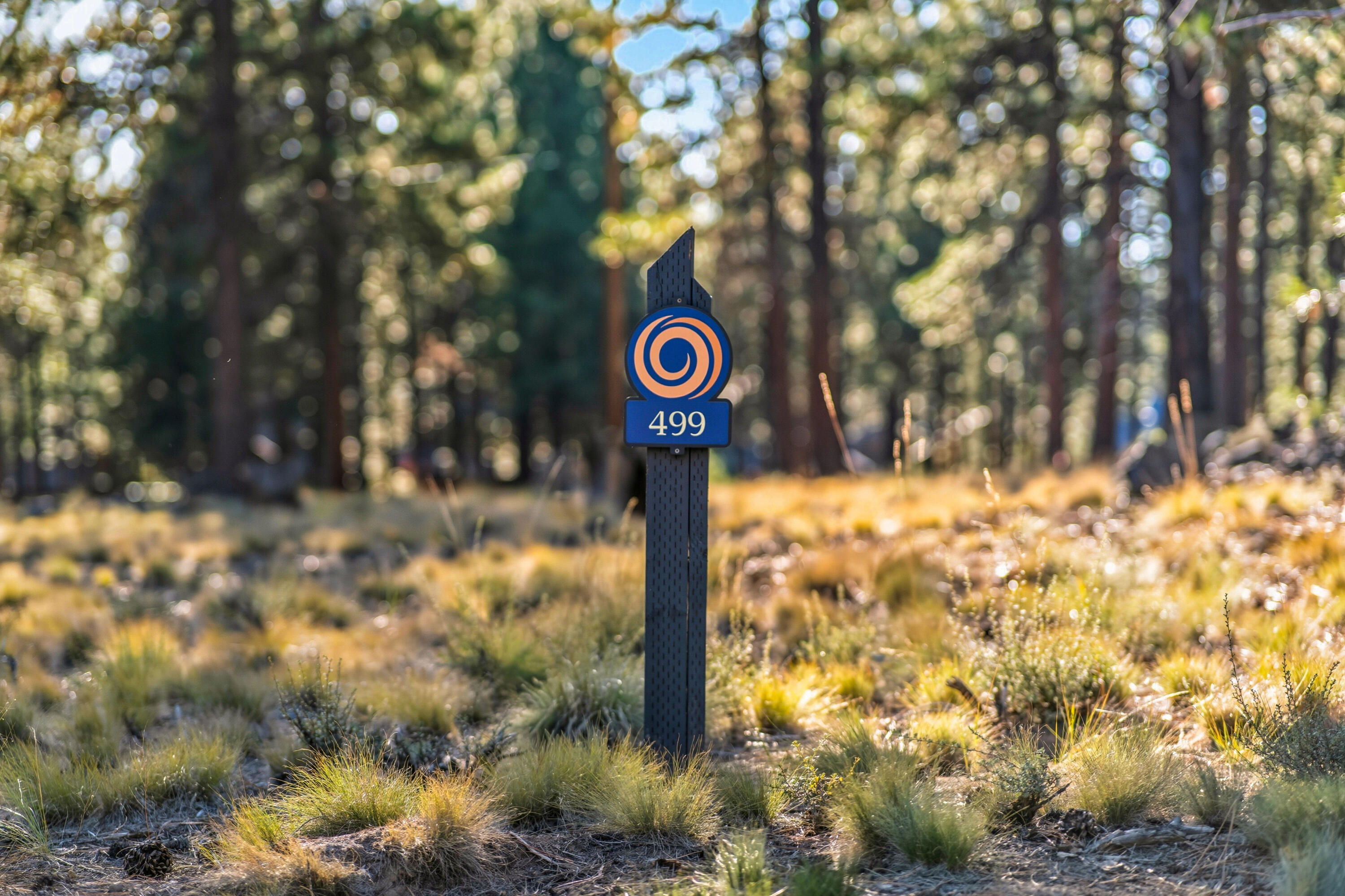 Discover the unmatched lifestyle of Caldera Springs with limited-time special pricing and exclusive incentives on select homesites in our newest phase. Incentives are available for a limited time. Take advantage of 5% off list price and Developer paid HOA dues through December 31, 2026. Homesite 499 is a  premier lot offering a stunning blend of natural beauty, pine-filled landscapes, and endless blue skies.  The central location of this lovely .33 acre homesite provides ideal access to both the Lake House and Forest House.  Backing to common area and near the stunning Lava Springs Lake, this lot provides a serene setting for building your custom home. Owners enjoy special access to the Forest House Amenity & Aquatic Center along with golf, fitness, pickle ball, tennis, pools, kayaks & paddle boards. Caldera Springs is located near Sunriver, just 15 minutes to Bend and 30 minutes to world class skiing at Mt. Bachelor. Taxes TBD.
