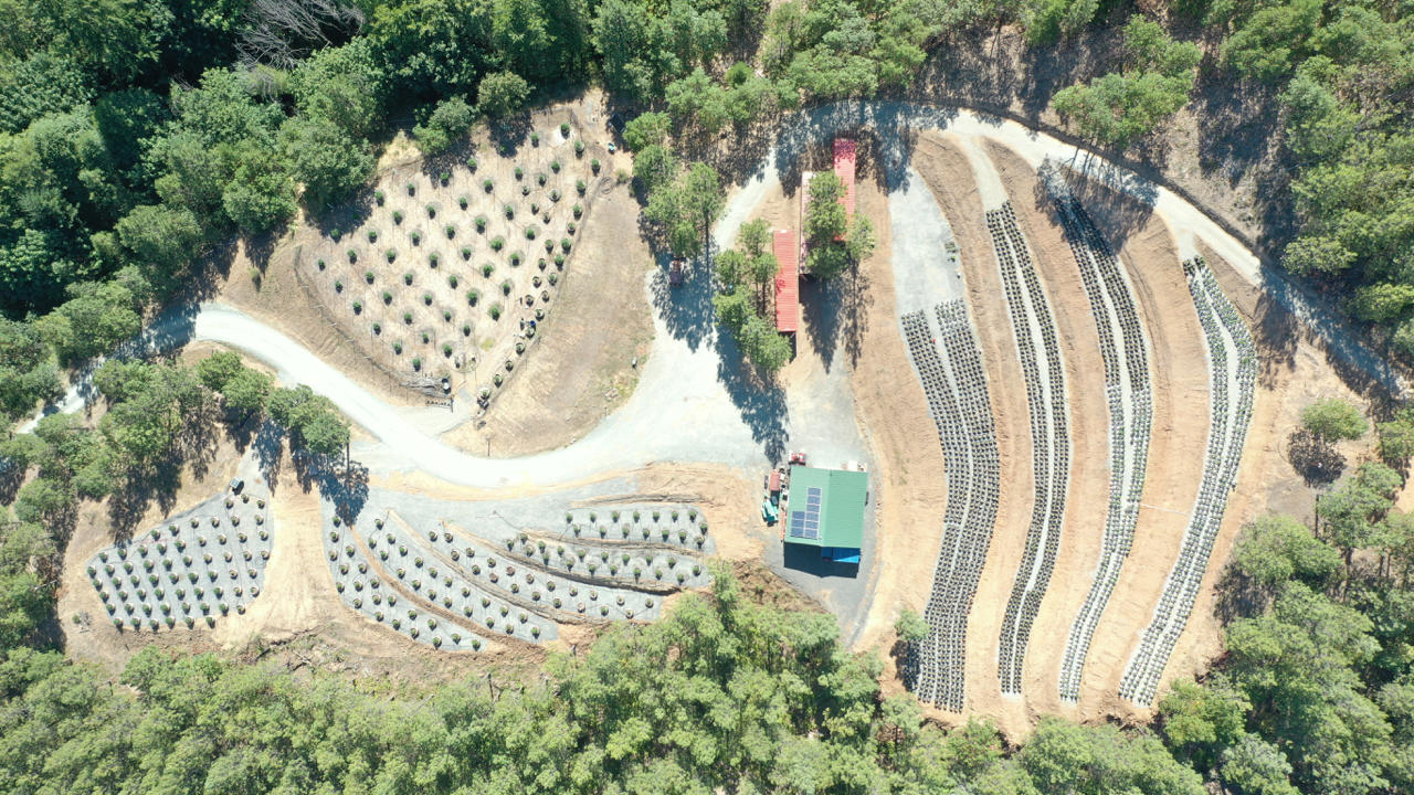 N/A - Land