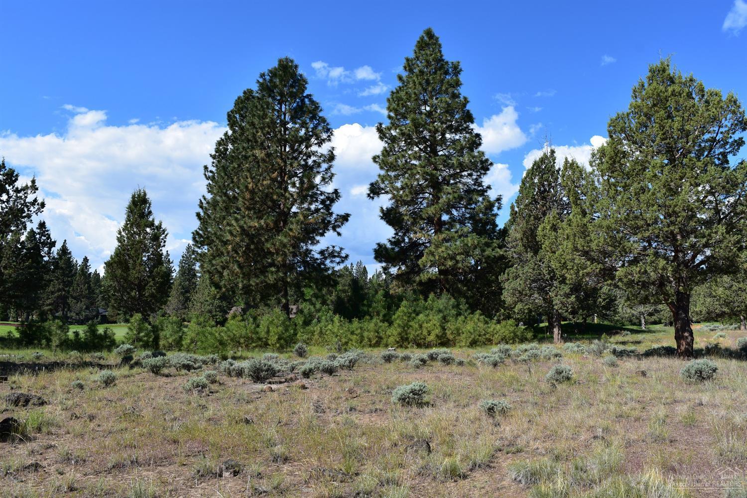 Aspen Lakes Golf Est - Land