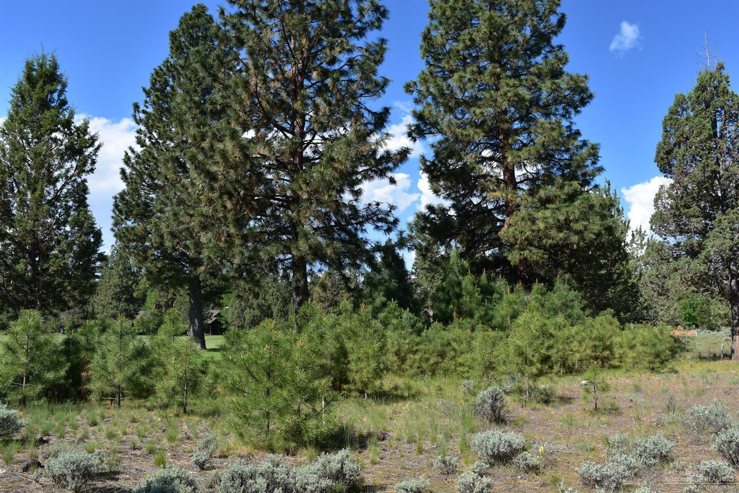 Aspen Lakes Golf Est - Land