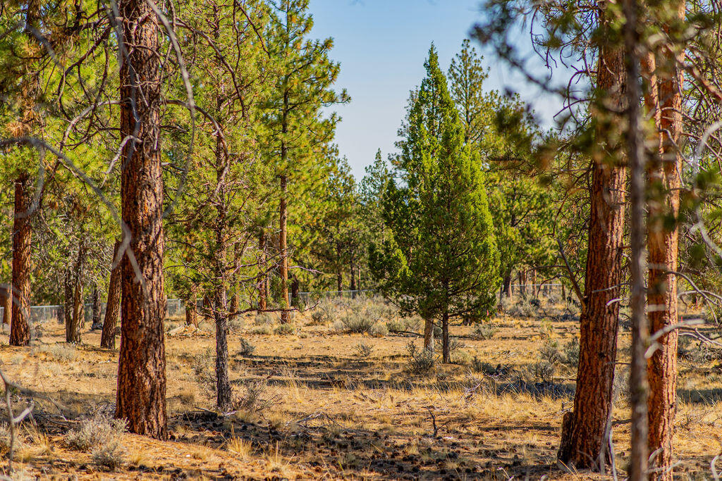 Discover the ideal canvas for your custom home on this 2.57-acre wooded corner lot located in the highly sought-after Skyline Ranch community of NW Bend. Just above Shevlin Park—with over 900 acres of trails, creeks, and natural beauty—this property offers a rare combination of privacy and convenience. Bend city water, power, natural gas, and high-speed internet are available at each lot, and septic feasibility is complete and approved. Living here means being minutes from top schools, downtown Bend's vibrant shops and restaurants, and year-round recreation from skiing at Mt. Bachelor to paddleboarding the Deschutes. All while enjoying the serenity of your own treed retreat in one of Bend's most desirable neighborhoods.