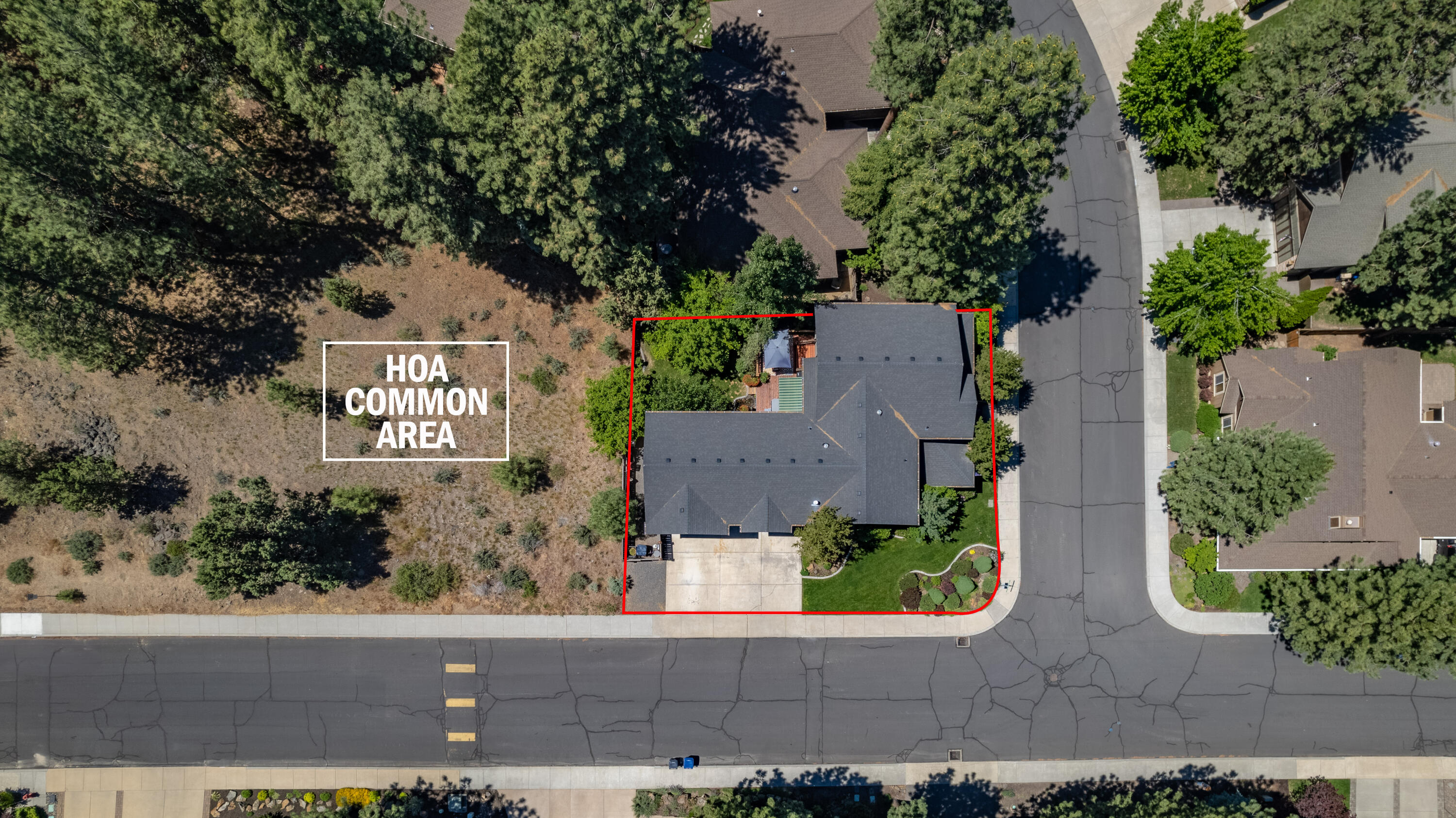 Mountain Pine - Residential