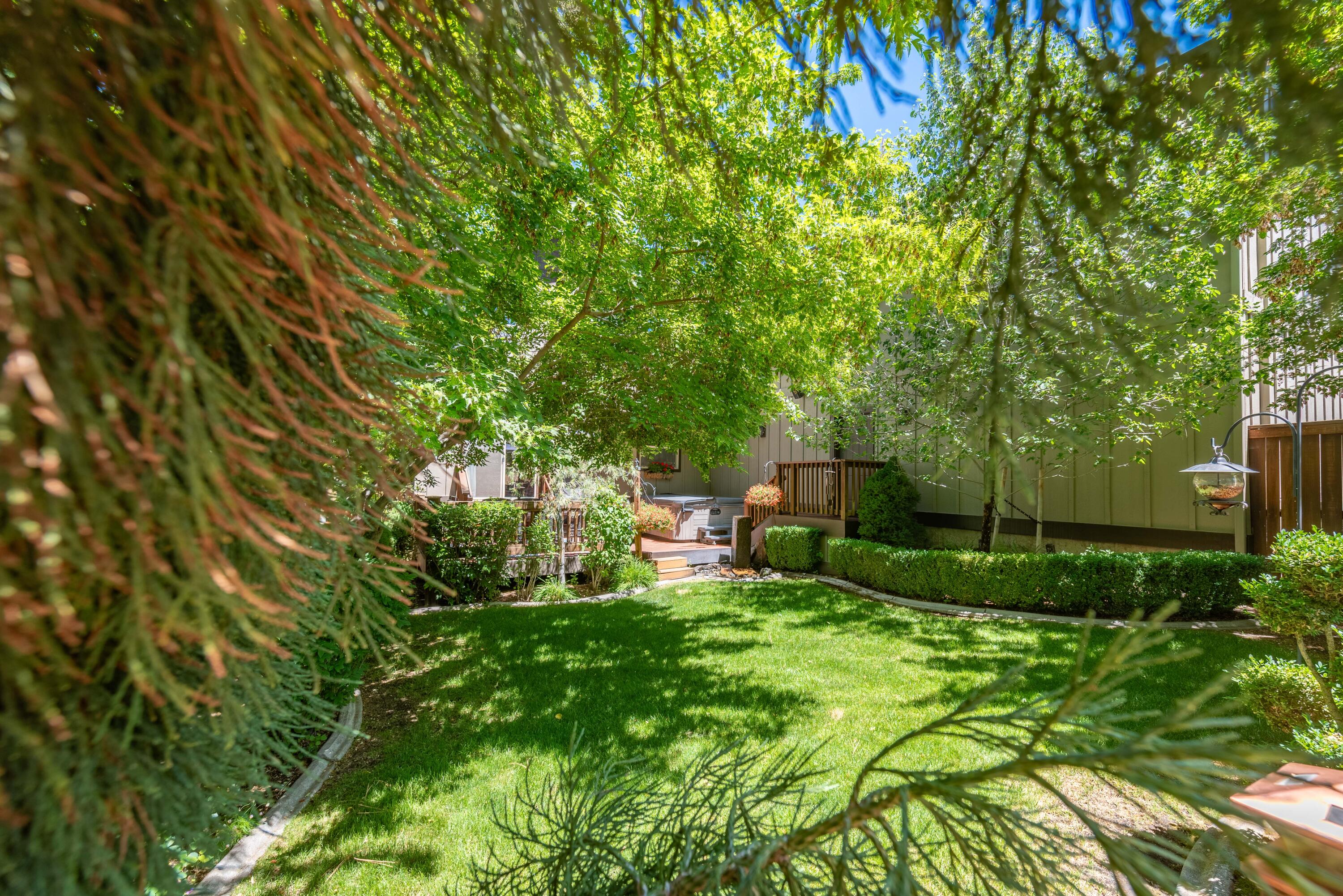 Mountain Pine - Residential