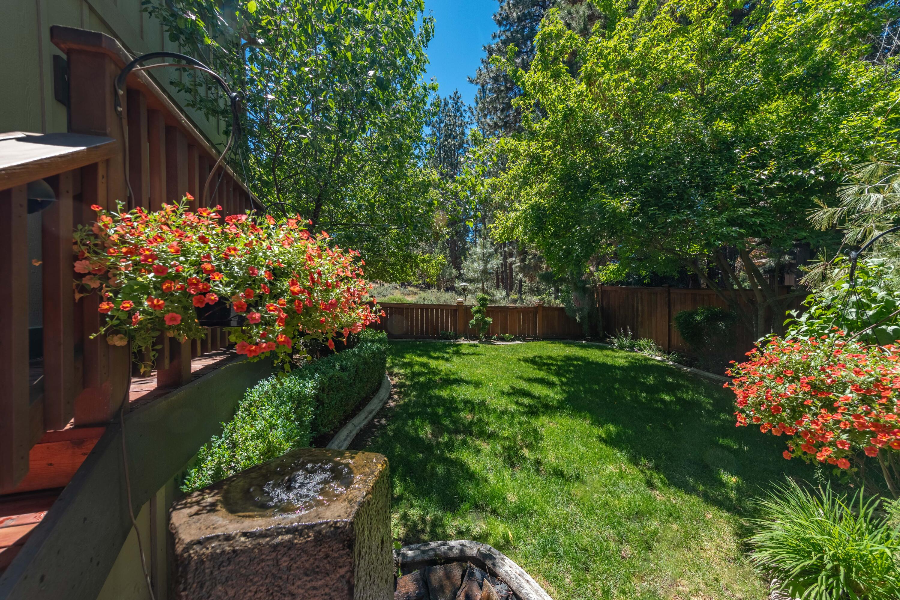 Mountain Pine - Residential