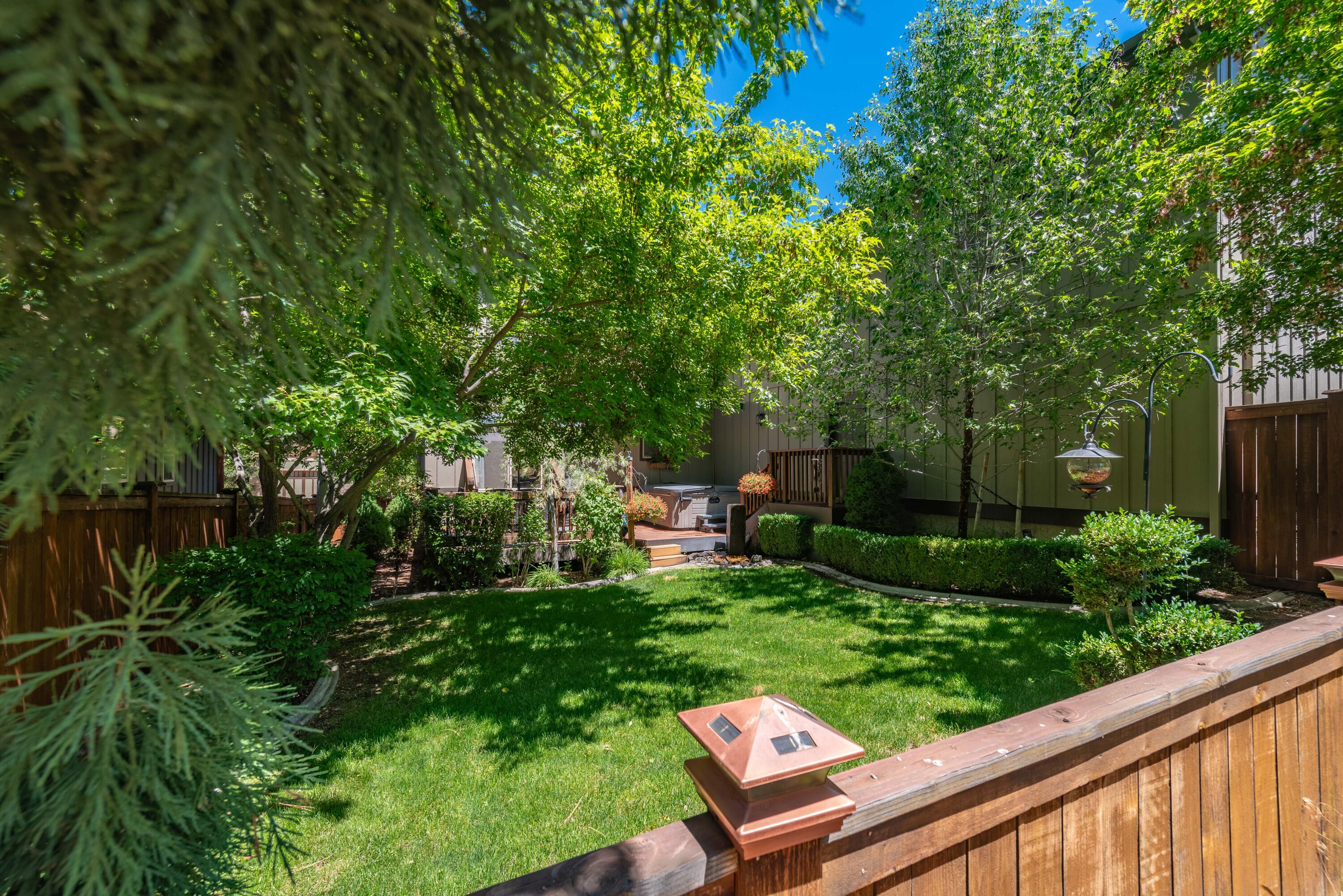 Mountain Pine - Residential