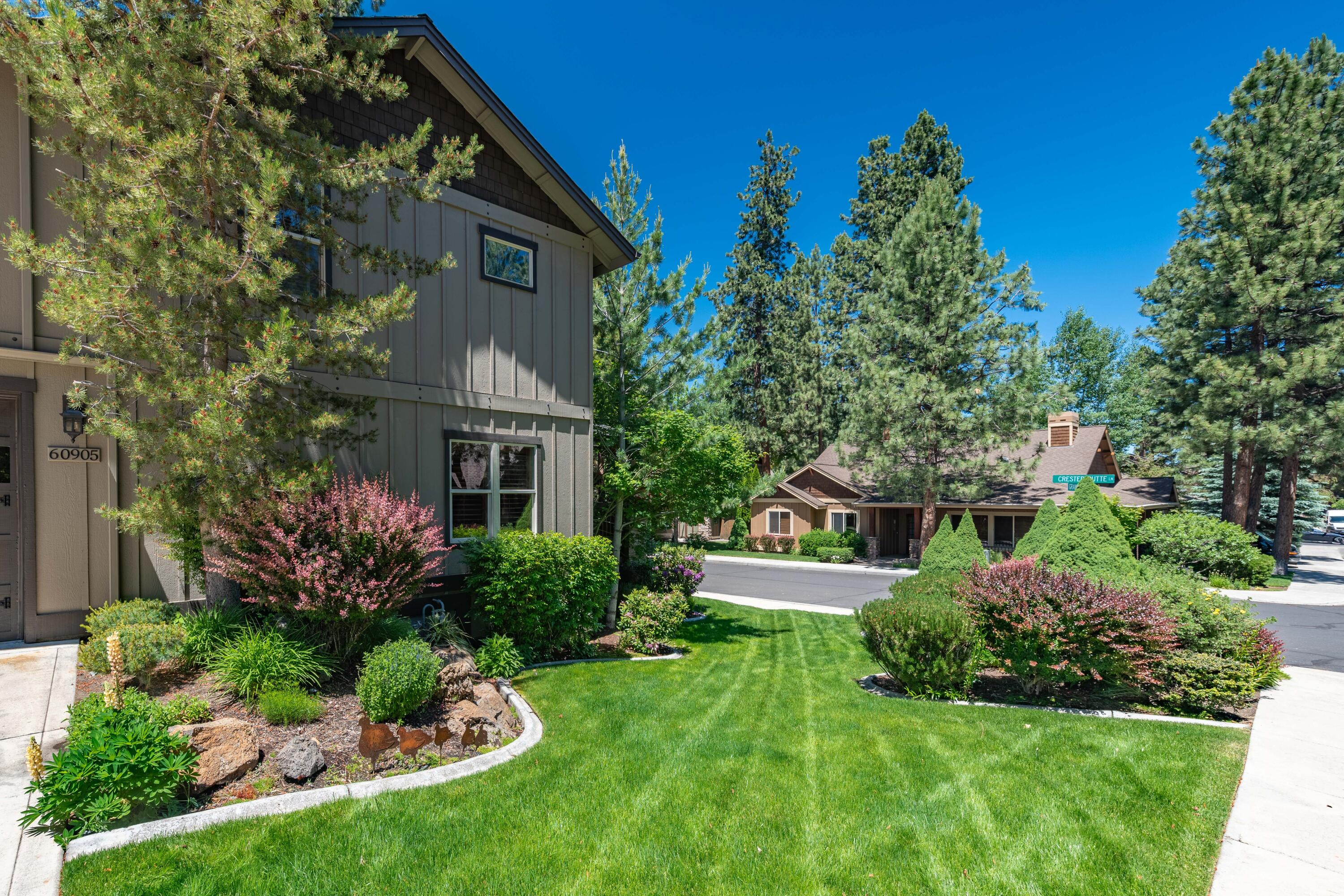 Mountain Pine - Residential