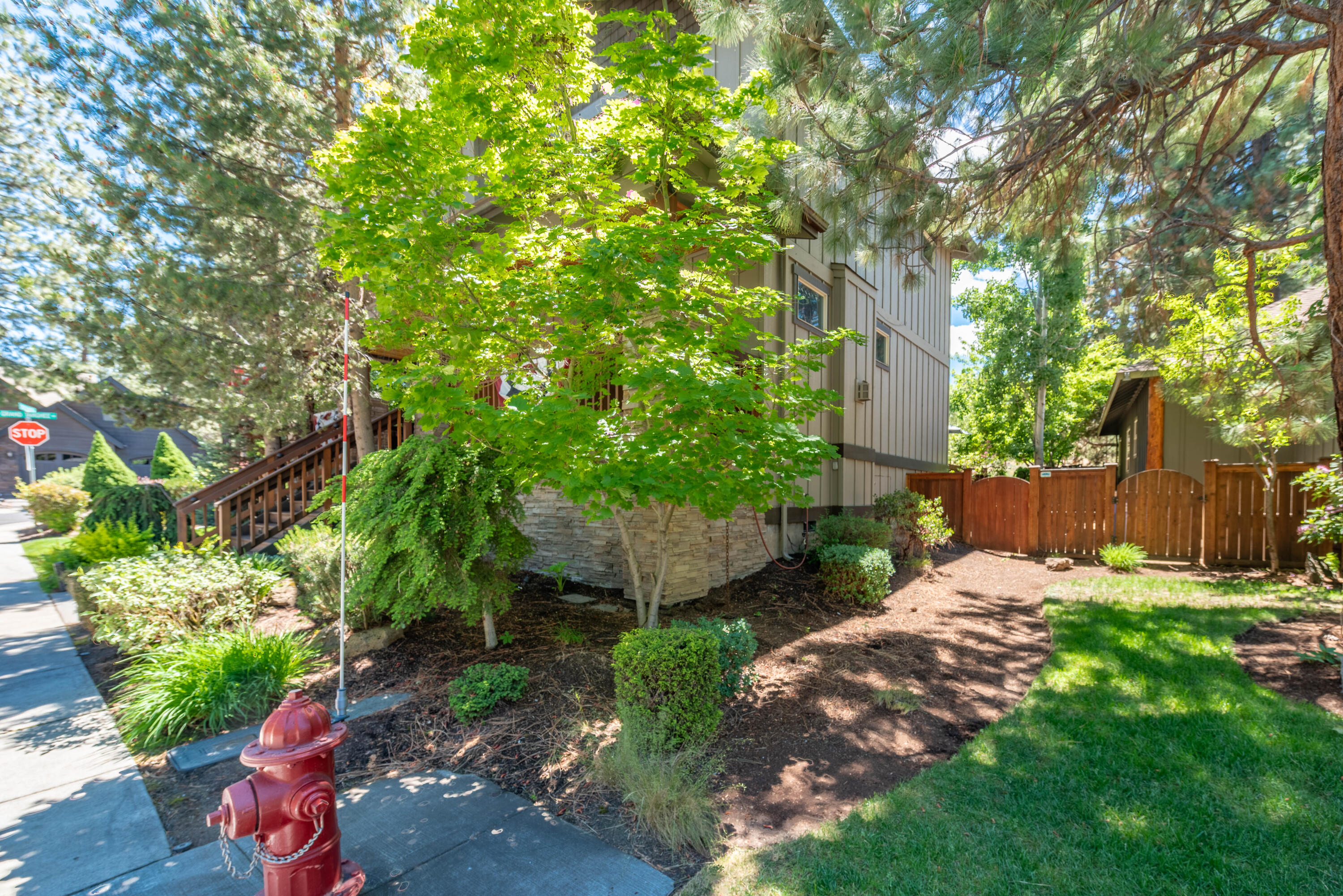 Mountain Pine - Residential