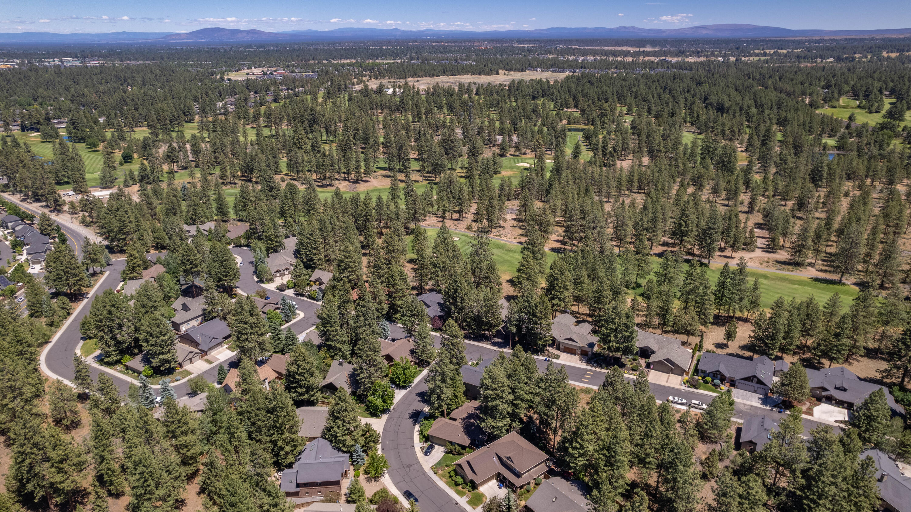 Mountain Pine - Residential