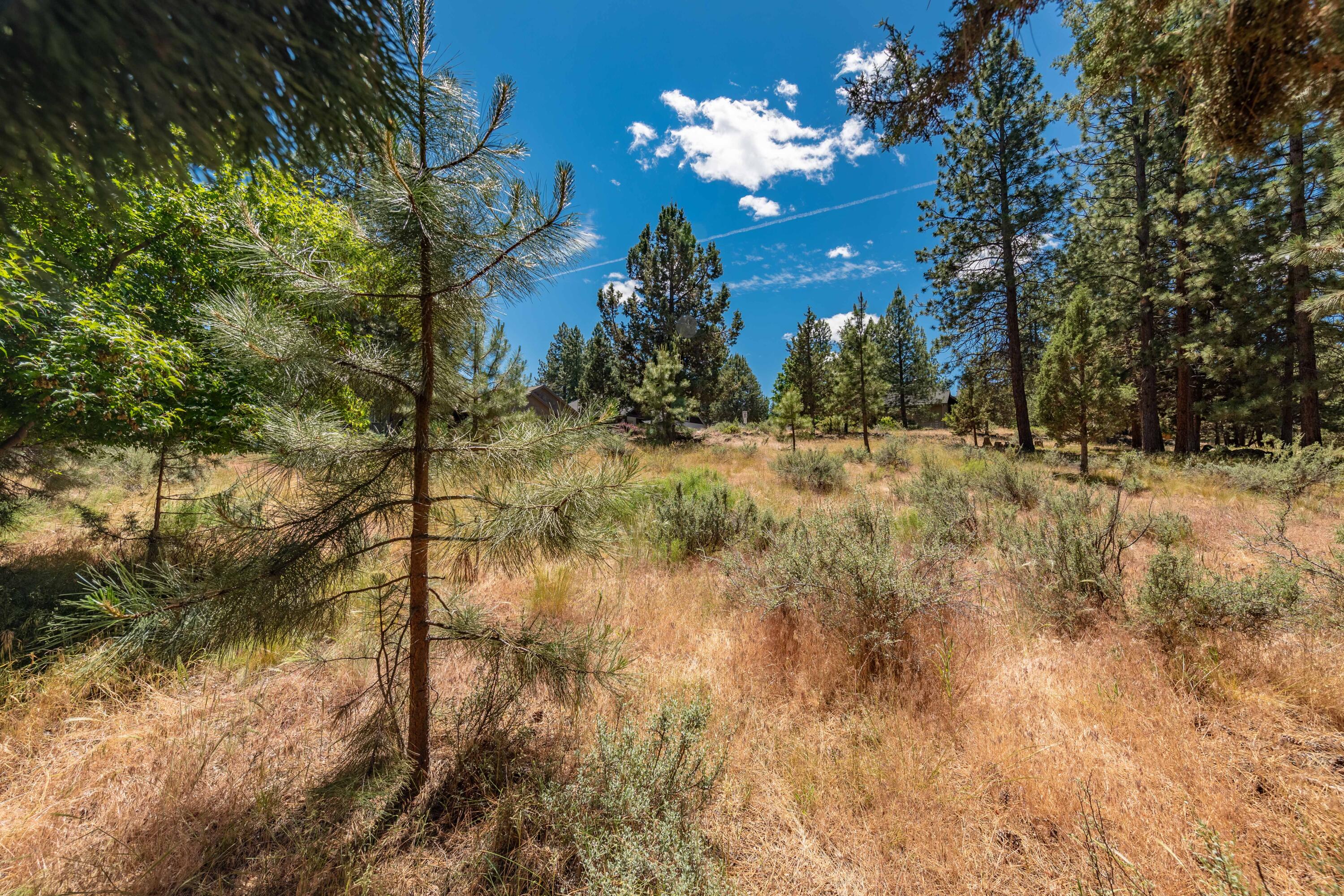 Mountain Pine - Residential