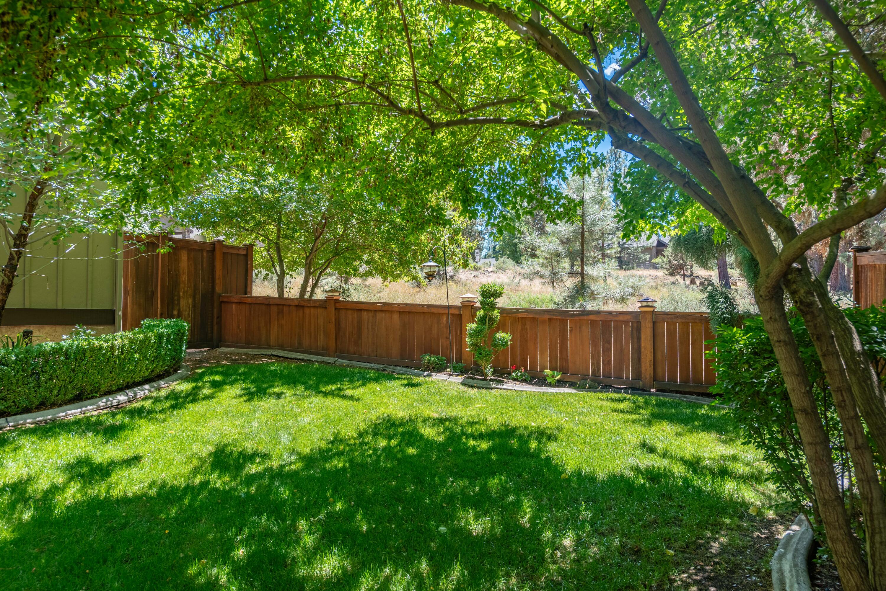 Mountain Pine - Residential