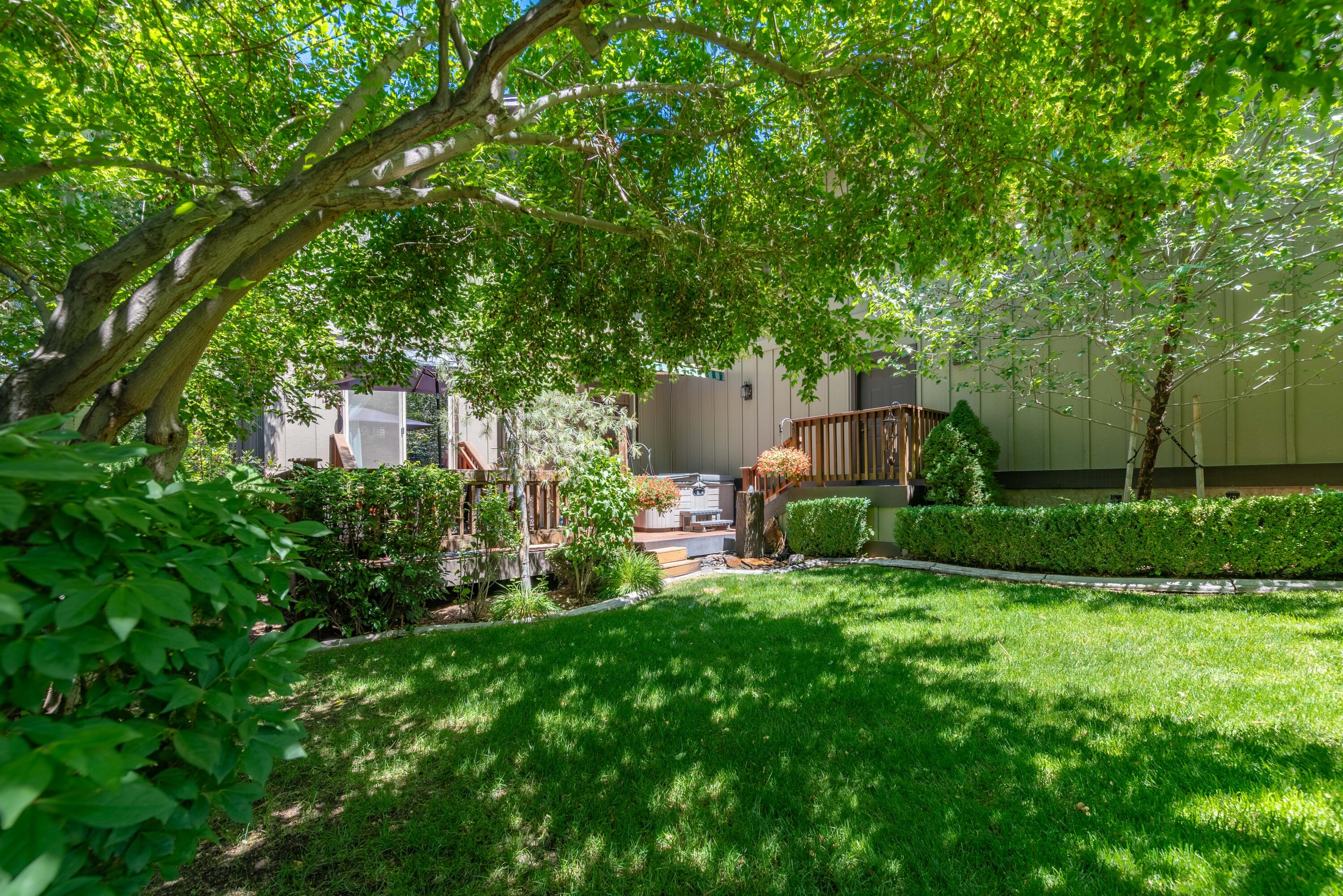 Mountain Pine - Residential