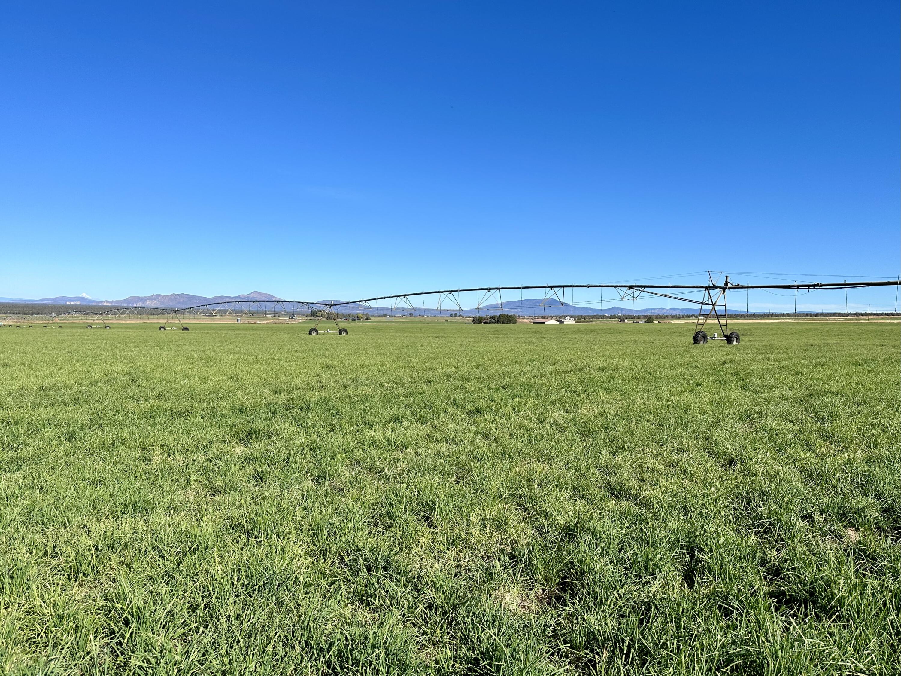 N/A - Farm