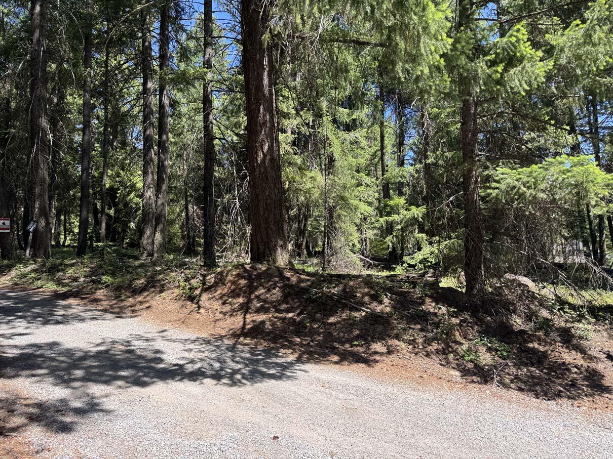 Excellent .31 residential parcel is the much sought-after Harriman Park at Rocky Point.
Nicely treed with excellent road access at the corner of Wocus Way and Rocky Point Road. Power and phone are along the road edge.
Ripe for development, this is a great one in a nice quiet area with the fire department just down the road. Easy drive into Klamath Falls for major shopping. Situated perfectly, just a few minutes from Upper Klamath Lake and Agency Lake.